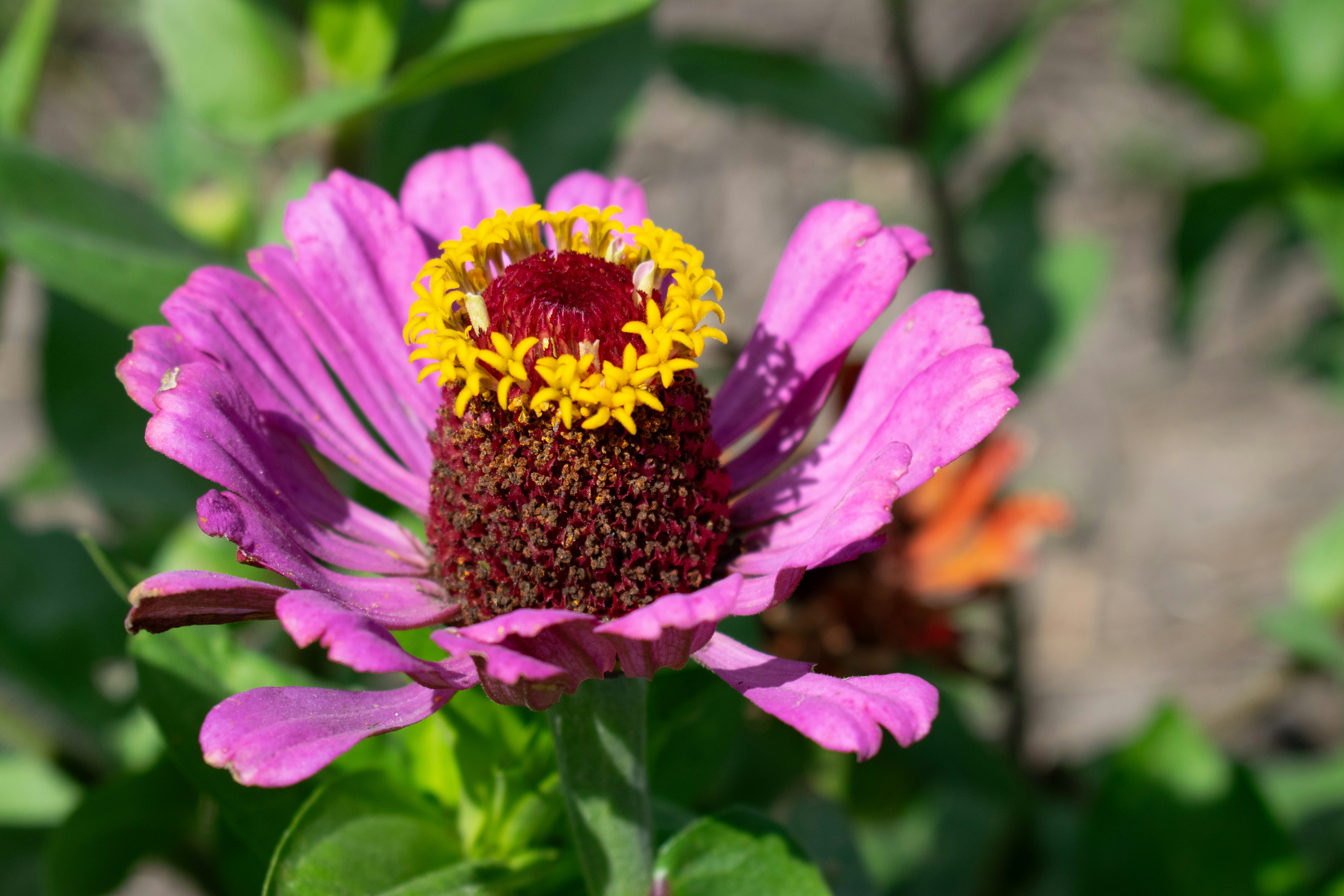 Photo by sparkledump