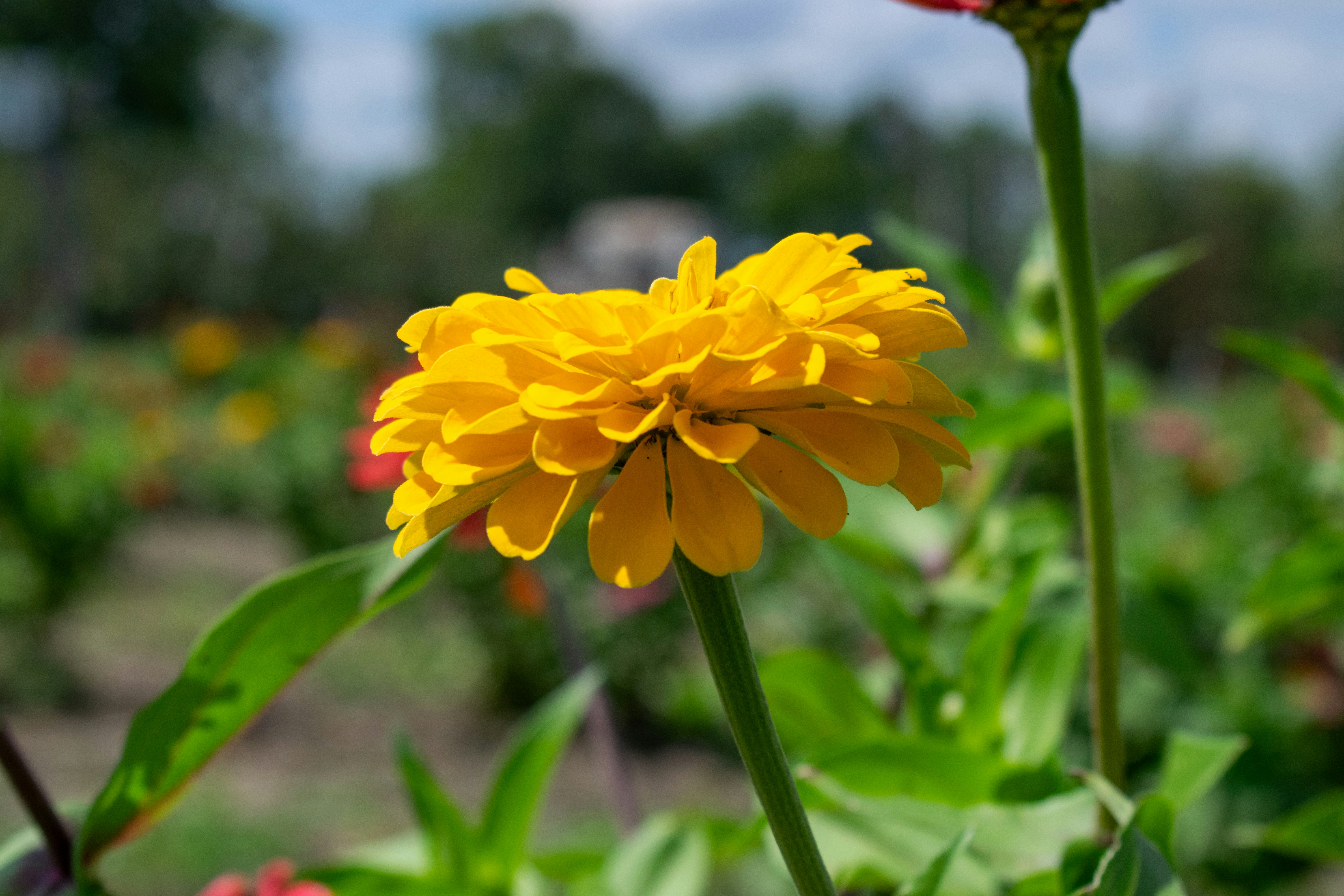 Photo by sparkledump