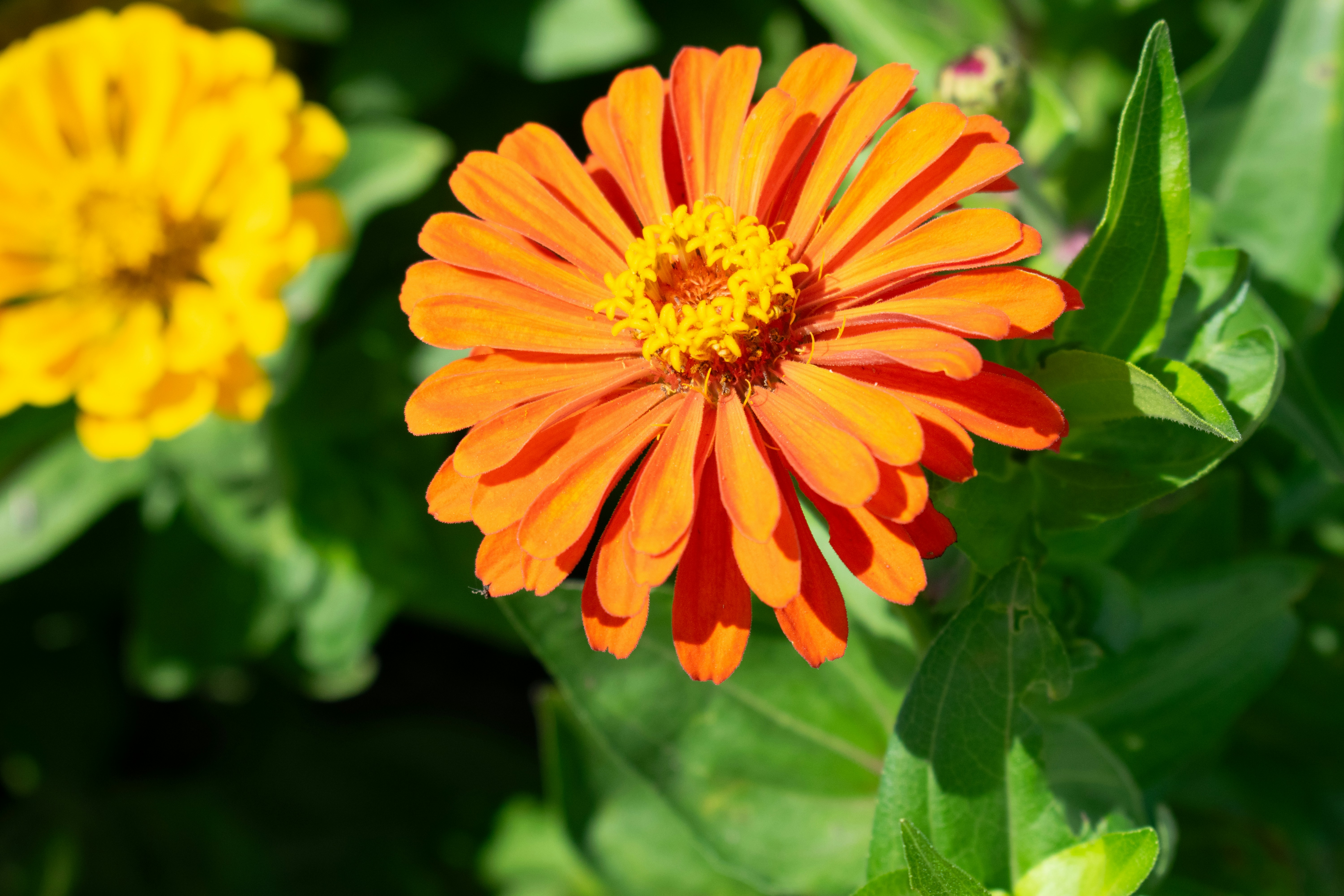 Photo by sparkledump