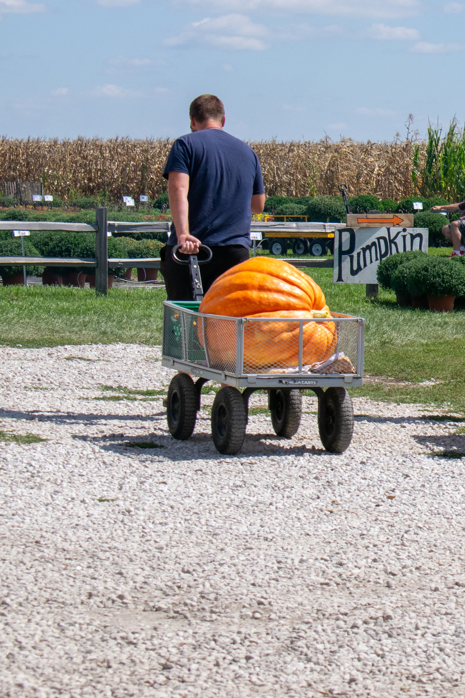 Anchorage Grower Wins Alaska's Giant Pumpkin Crown a Ninth Straight Year