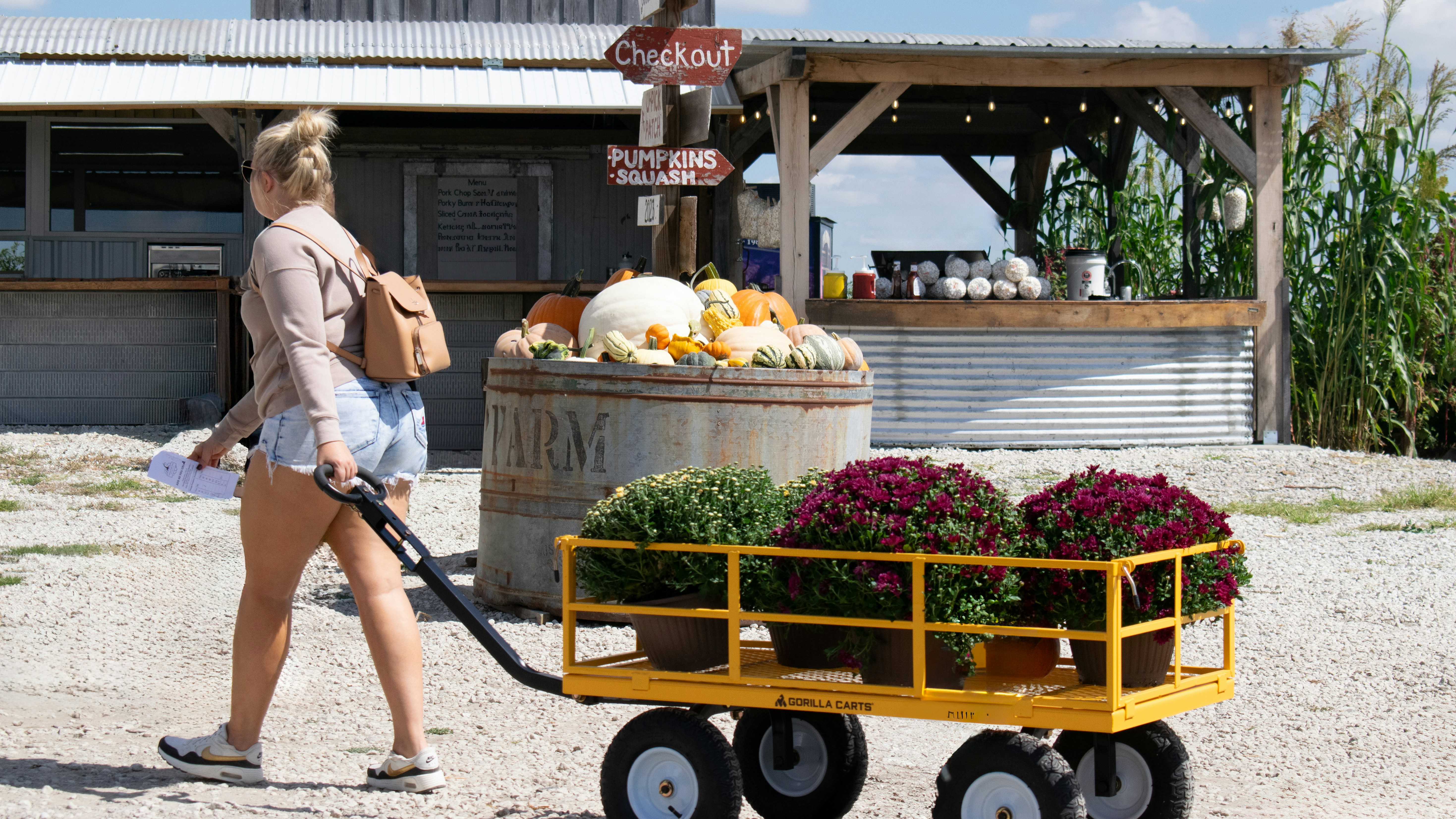 A woman in denim shorts and white sneakers pulls a bright yellow Gorilla Cart filled with potted purple chrysanthemums across a gravel courtyard in front of a wooden pavilion. Above her, weathered signs point the way to “Checkout” and “Pumpkins · Squash.” A large metal tub overflowing with decorative squash sits just beyond the cart, street photography