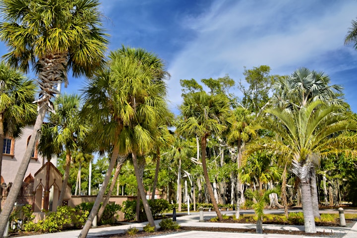 Florida Gulf Coast University