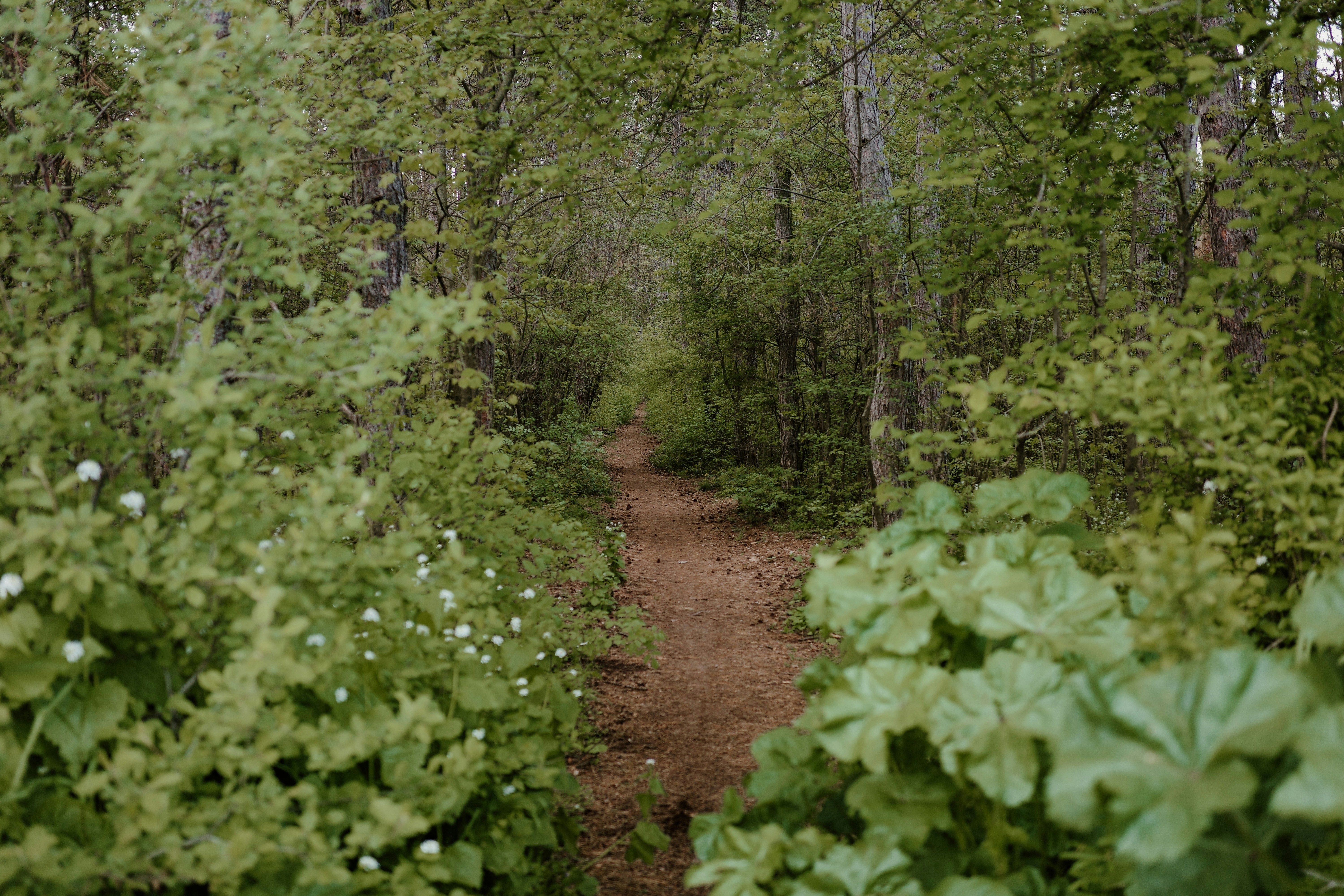 Photo by virginiaphotostories