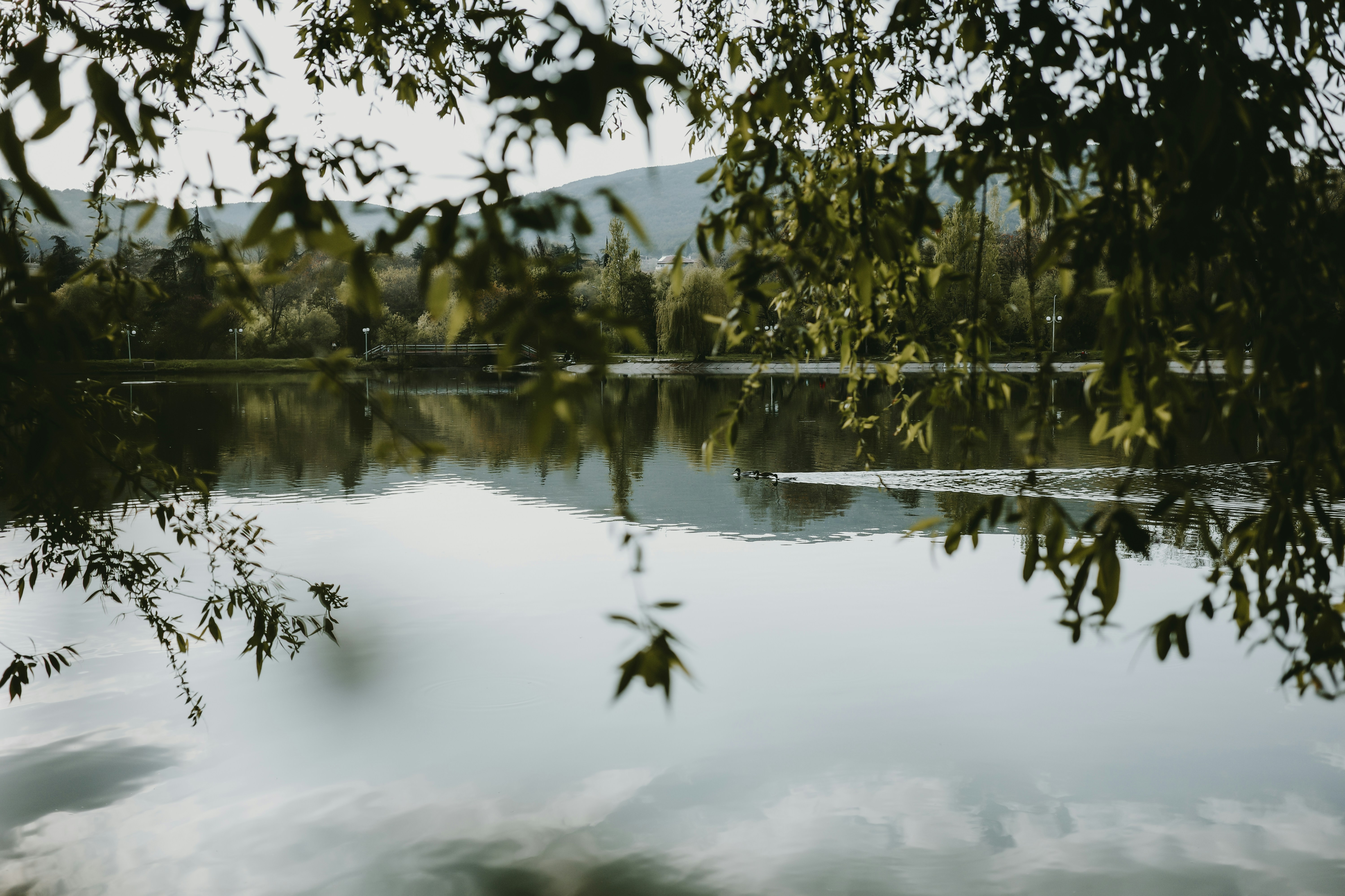 Photo by virginiaphotostories