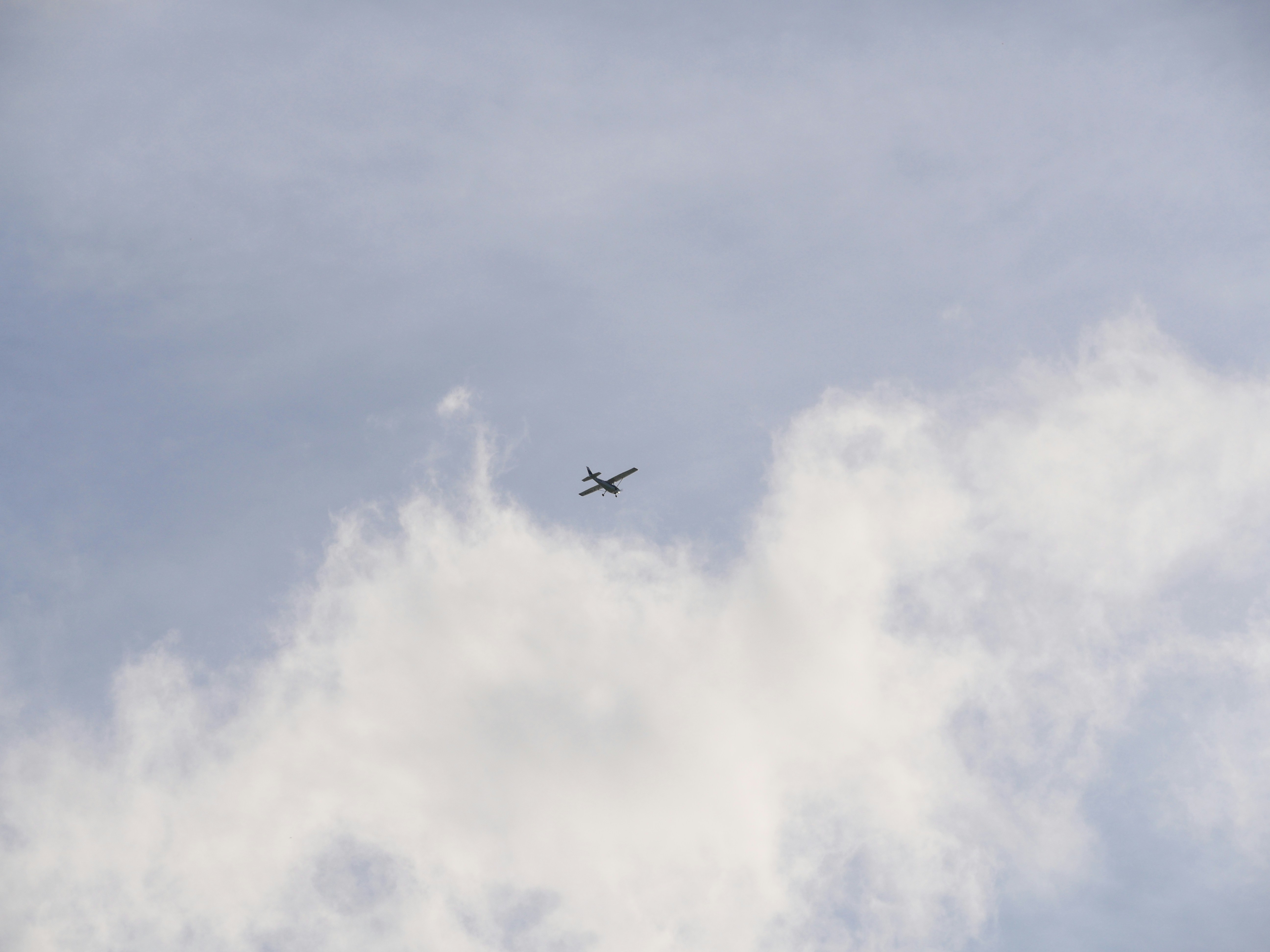 Photo by nimbus_vulpis