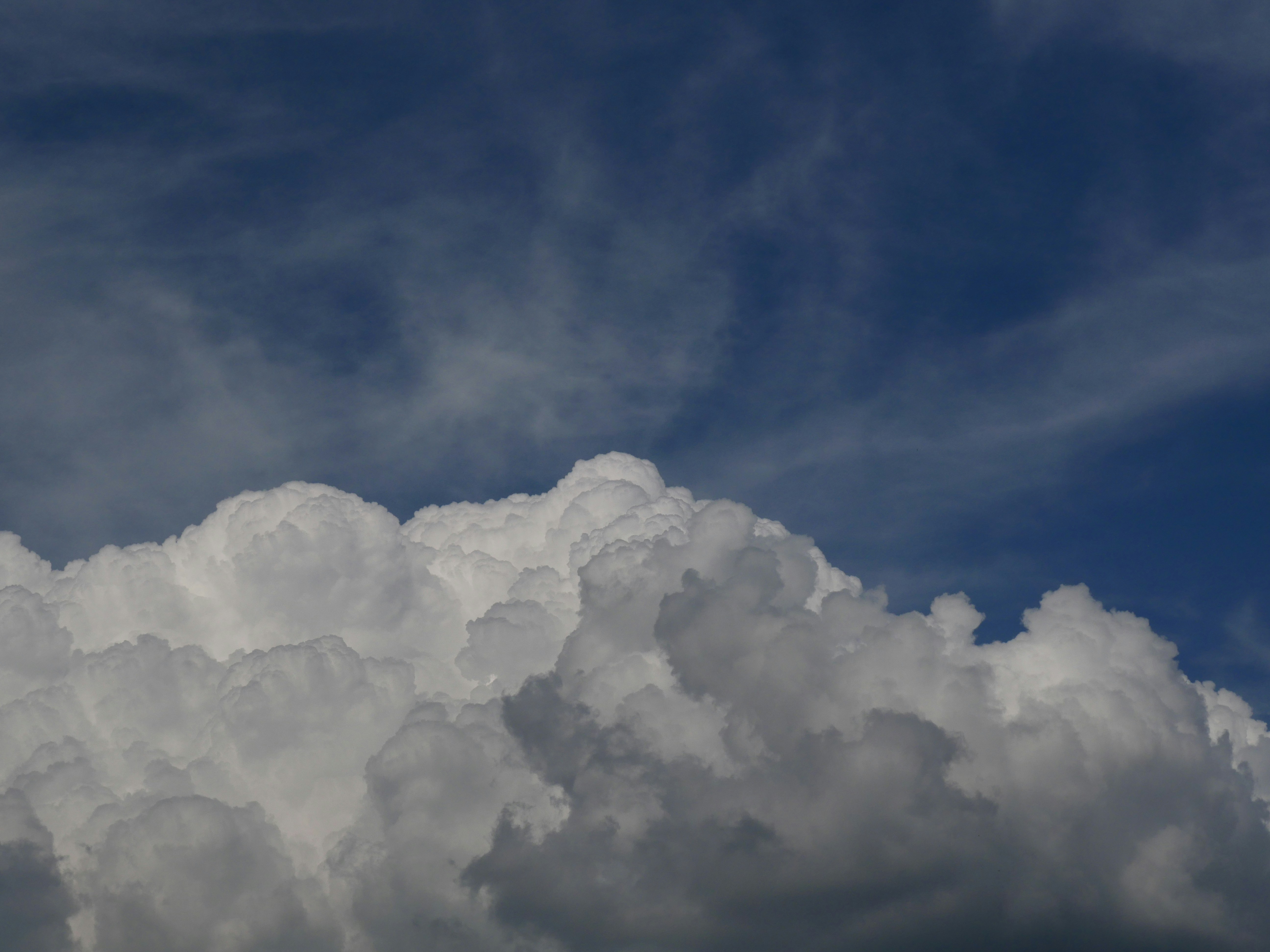 Photo by nimbus_vulpis