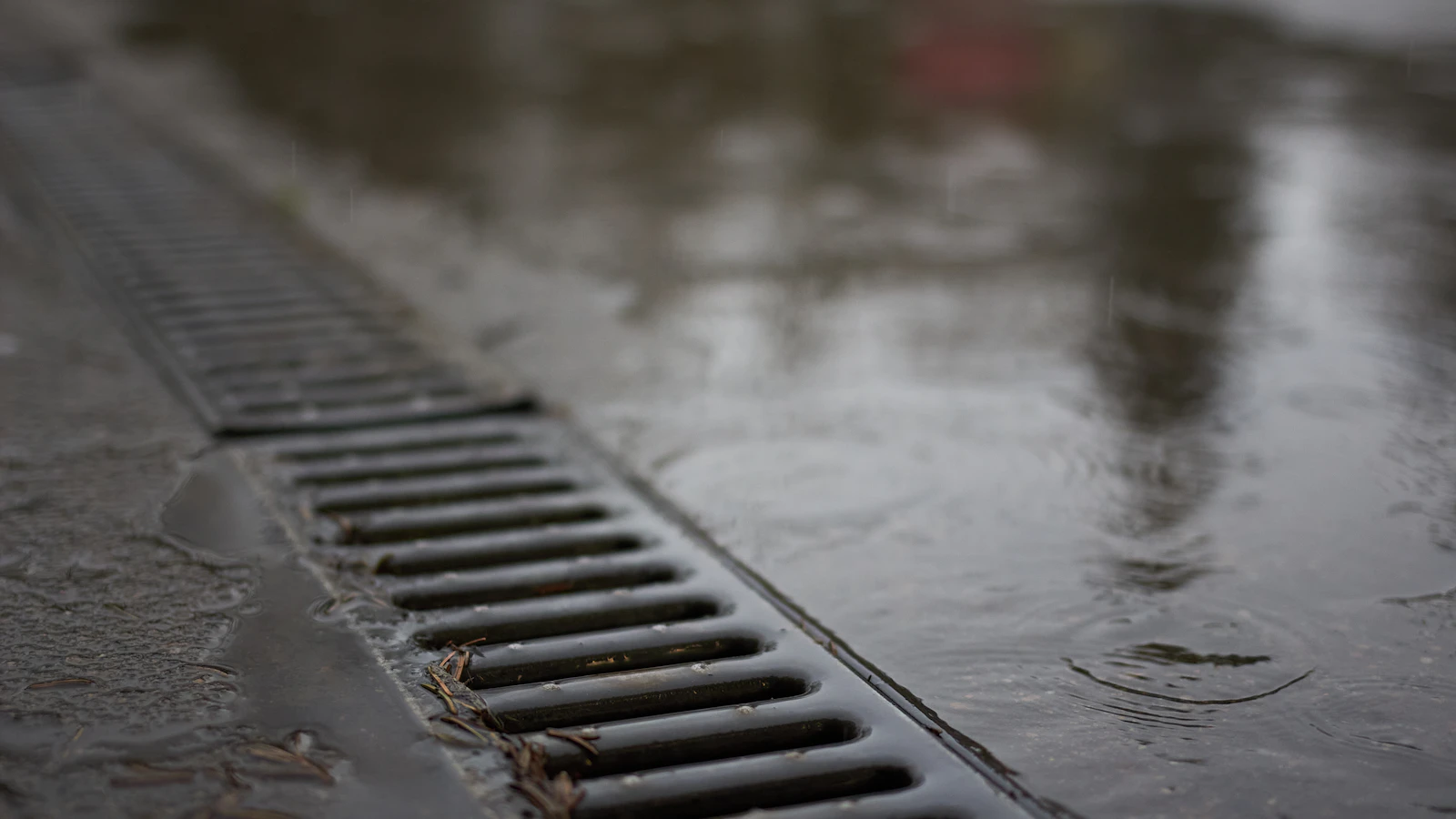 Channel drain grate collecting standing water on a rain-soaked outdoor surface