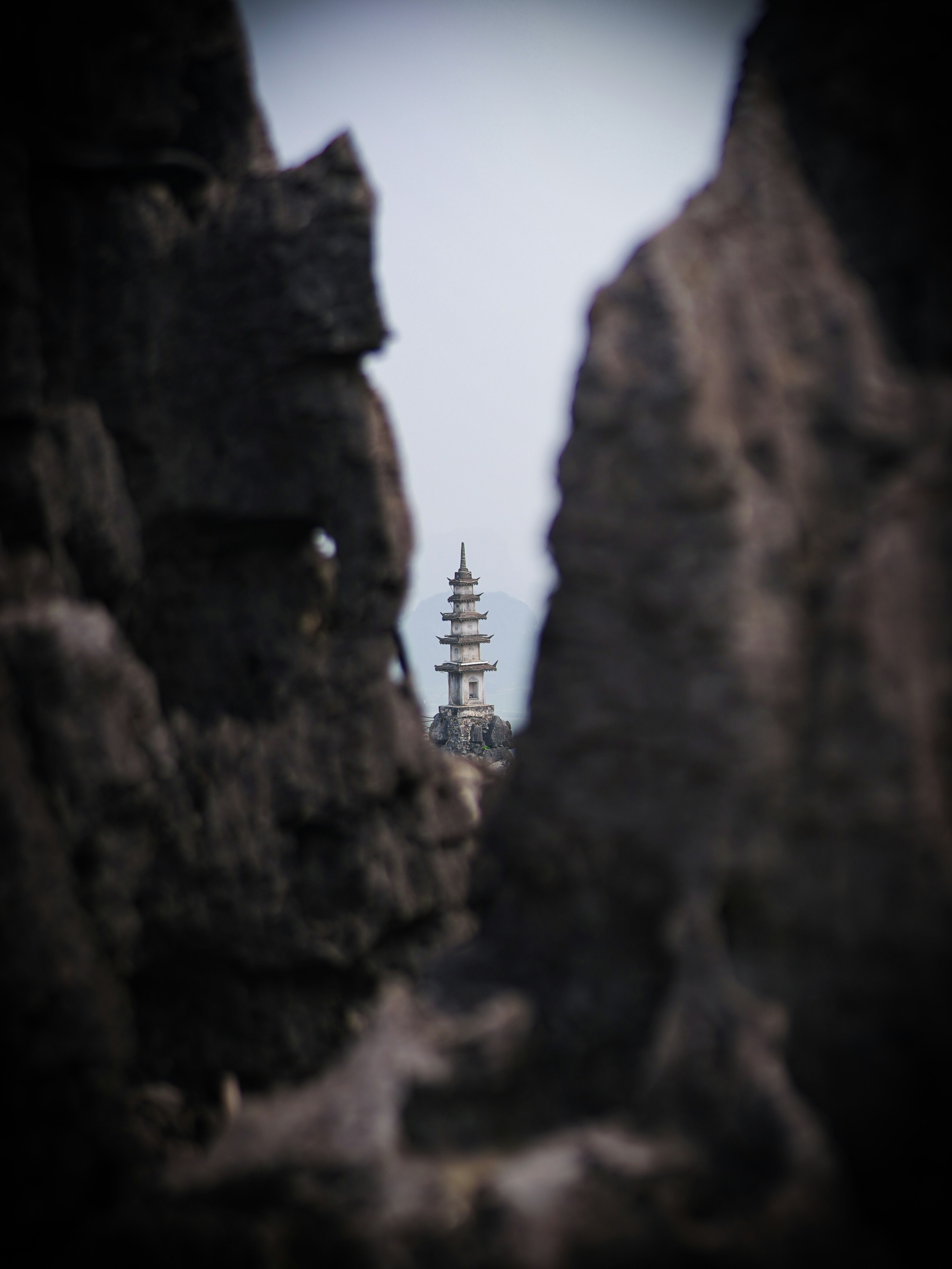 ¿Lo has encontrado?