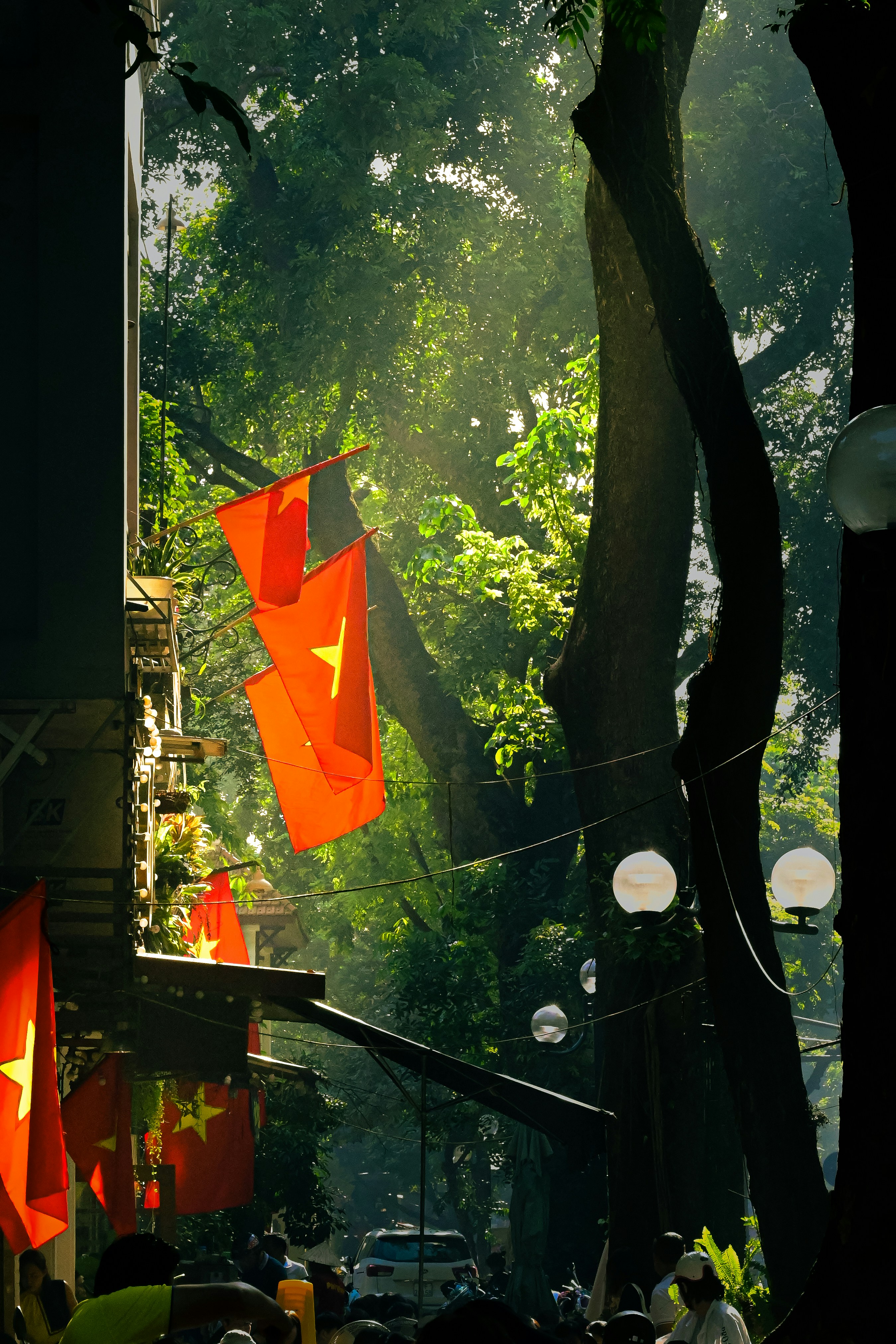 Vietnamese flags waving beneath a sunlit tree canopy.