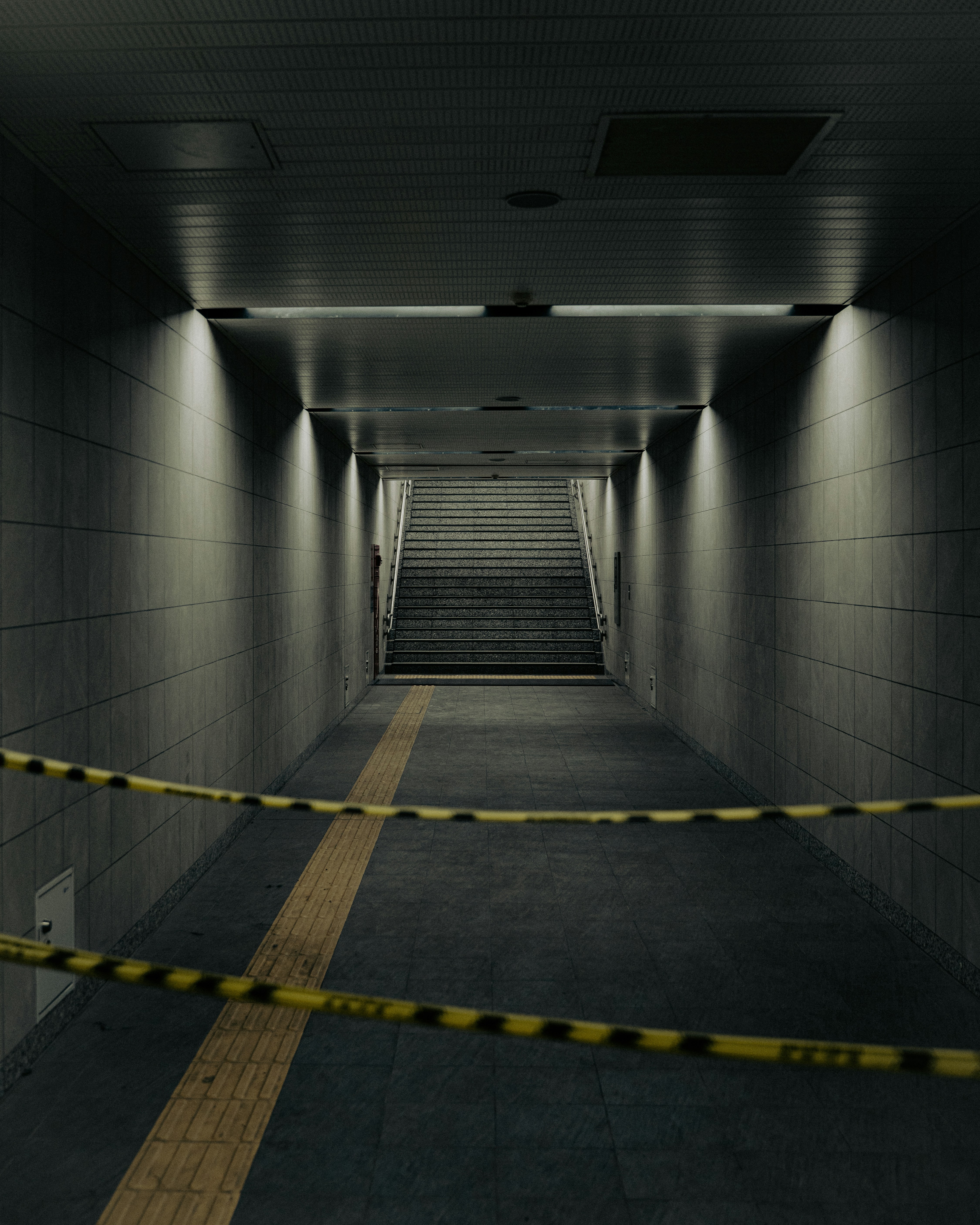 Photo by jordannguyen