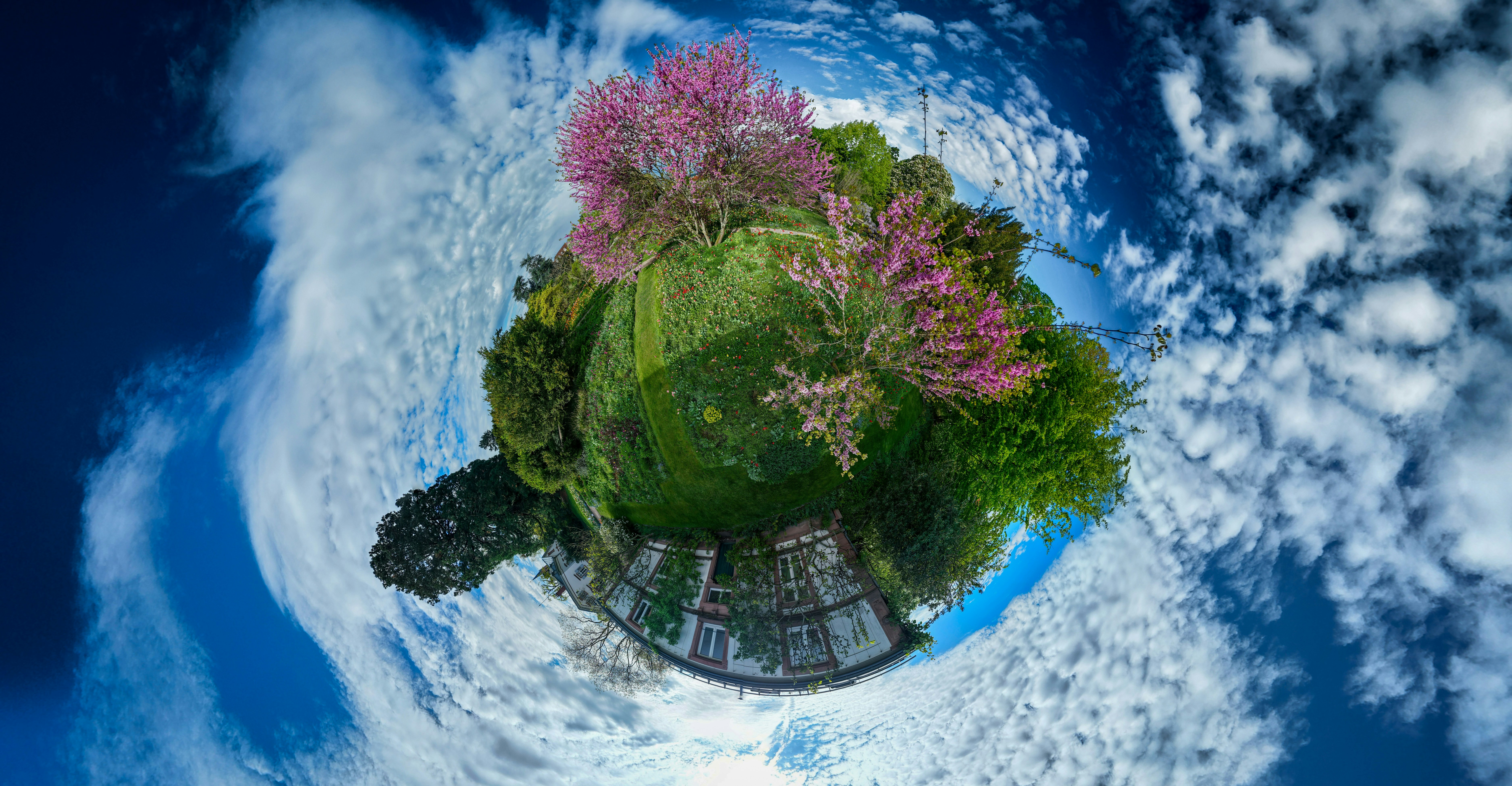 Photo by hdbernd
