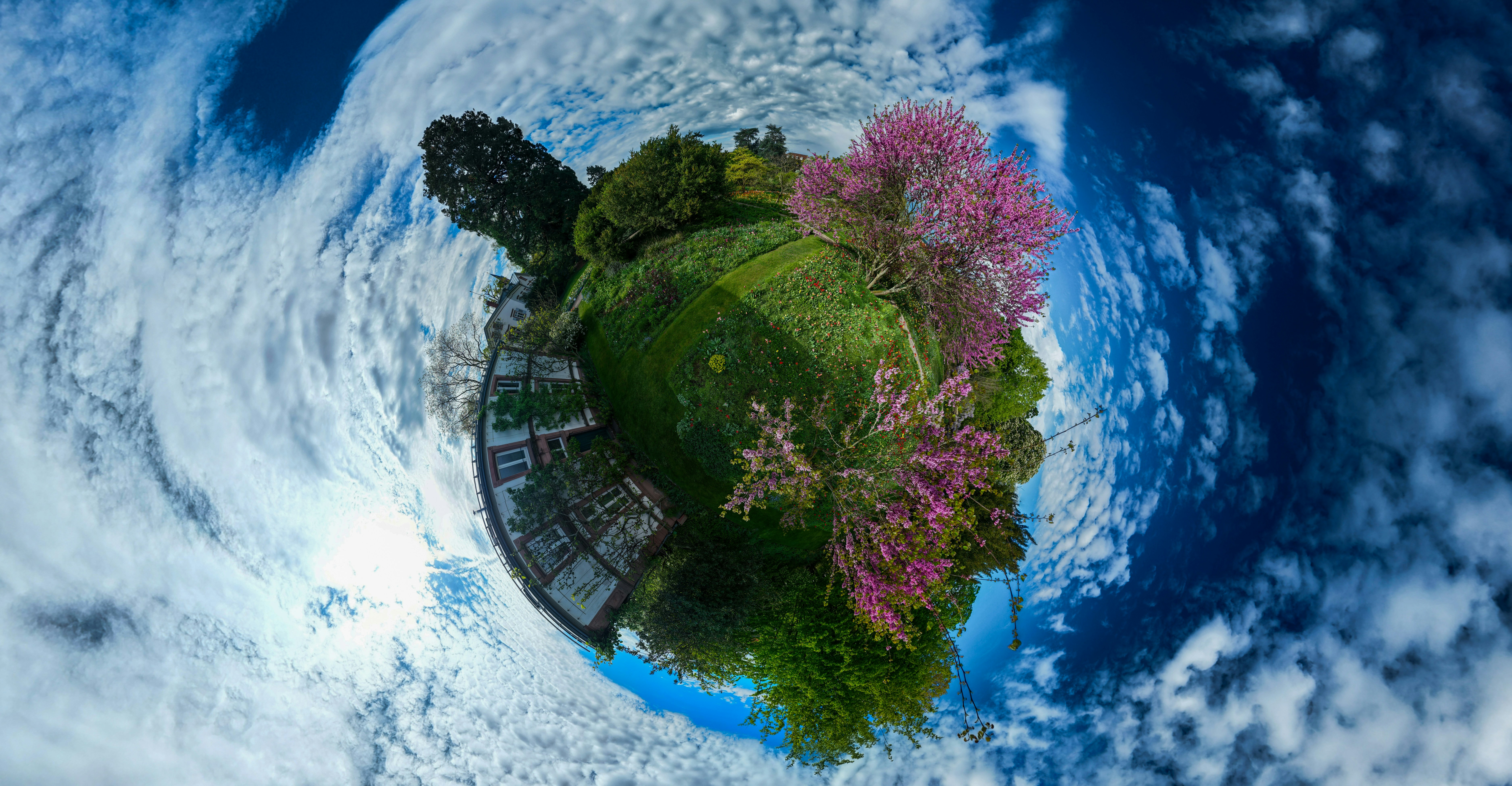Photo by hdbernd