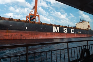 A large msc ship is seen on the water.