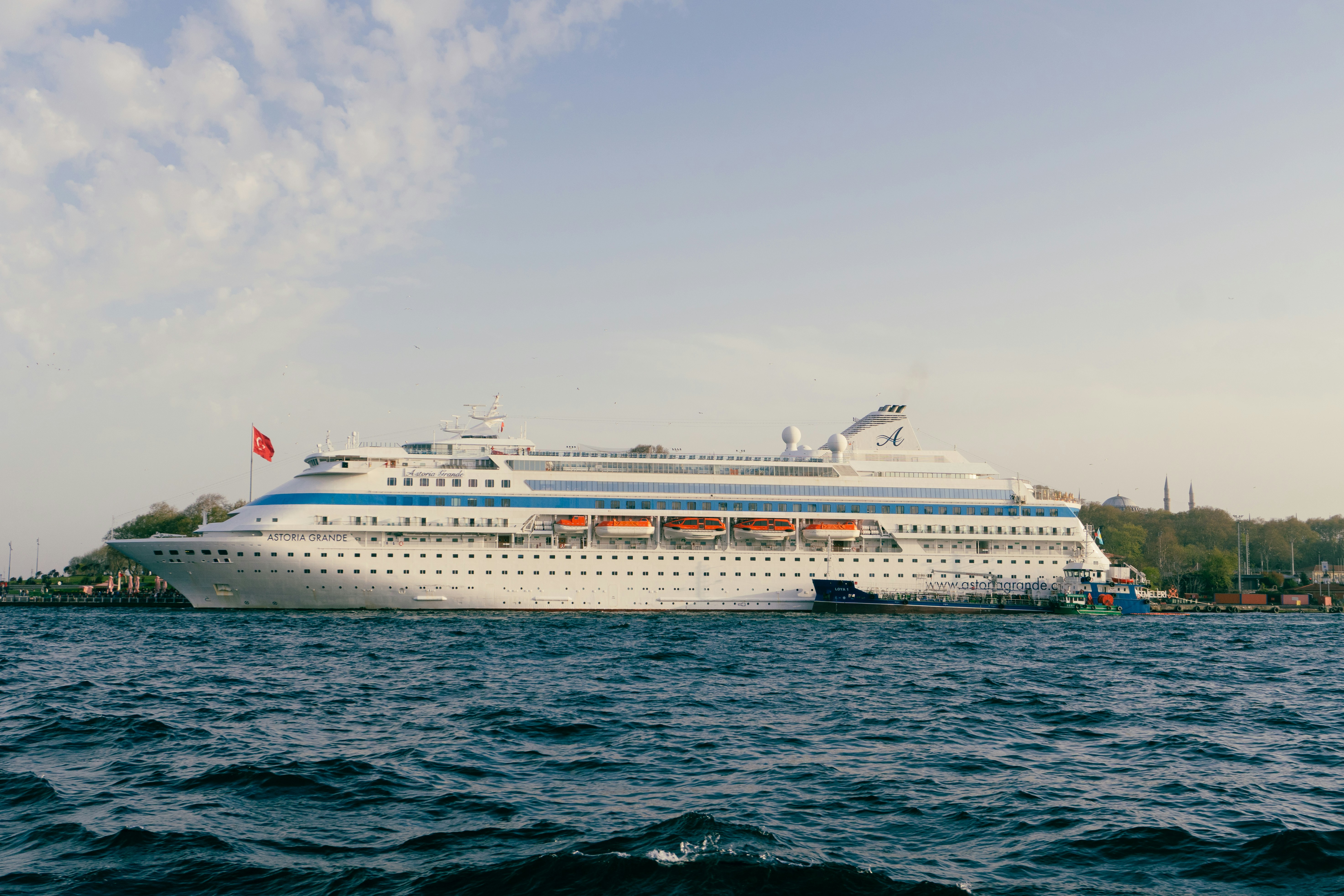 A large cruise ship is docked near the water.