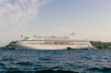 A large cruise ship is docked near the water.