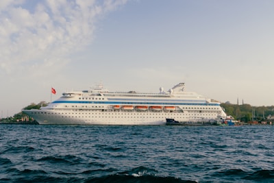 A large cruise ship is docked near the water.