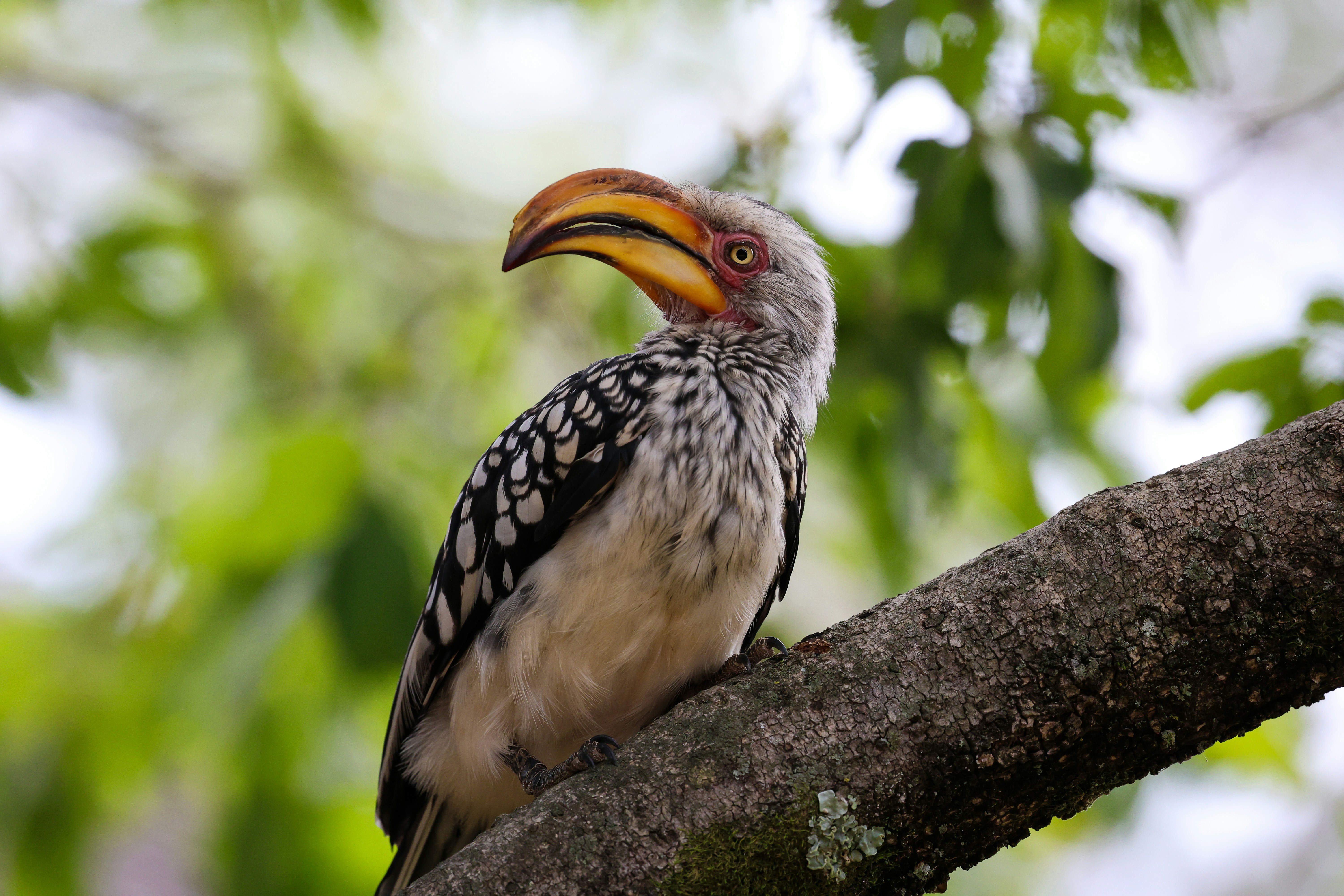 Photo by amandaswanepoel