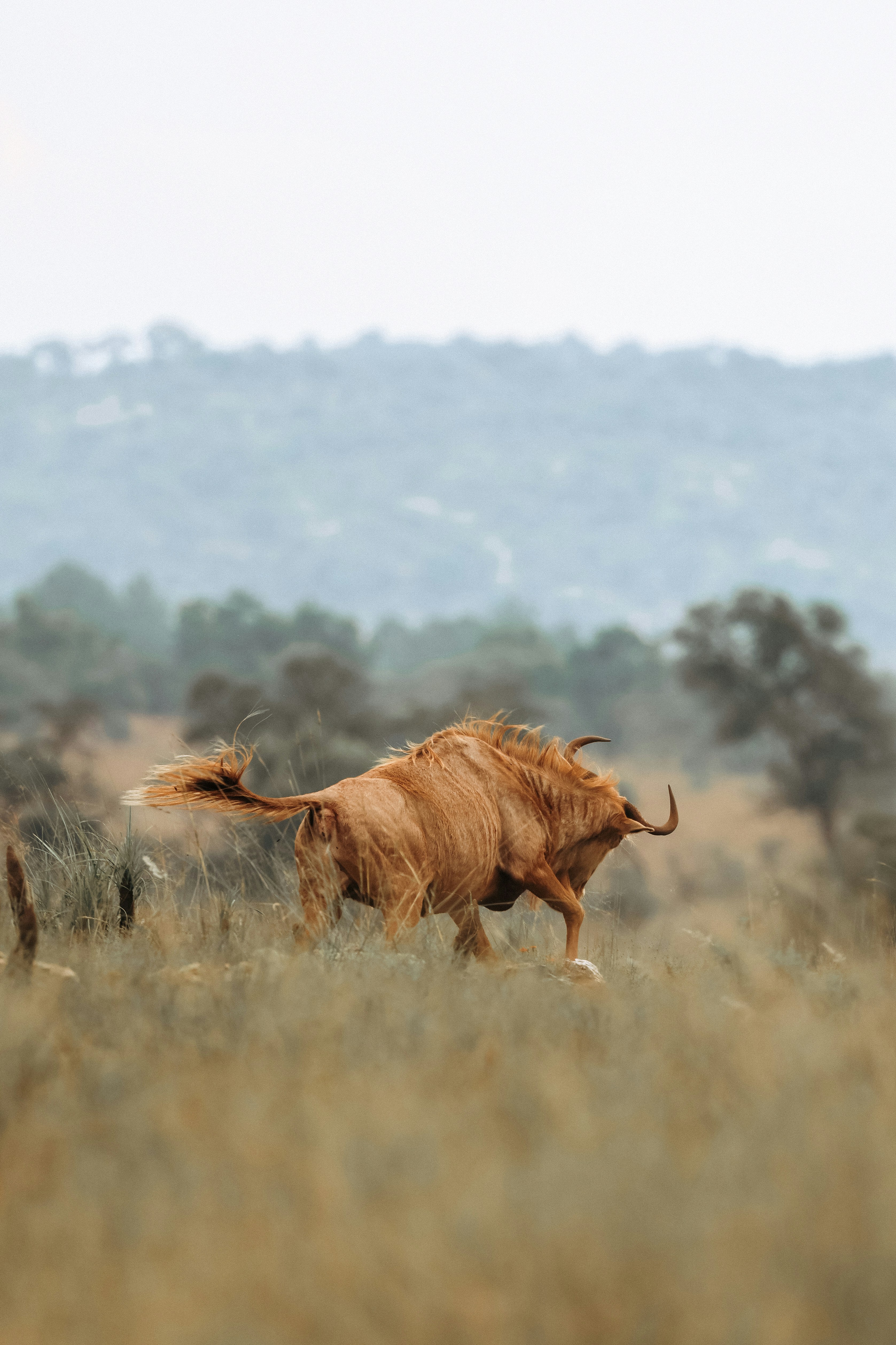 Photo by amandaswanepoel