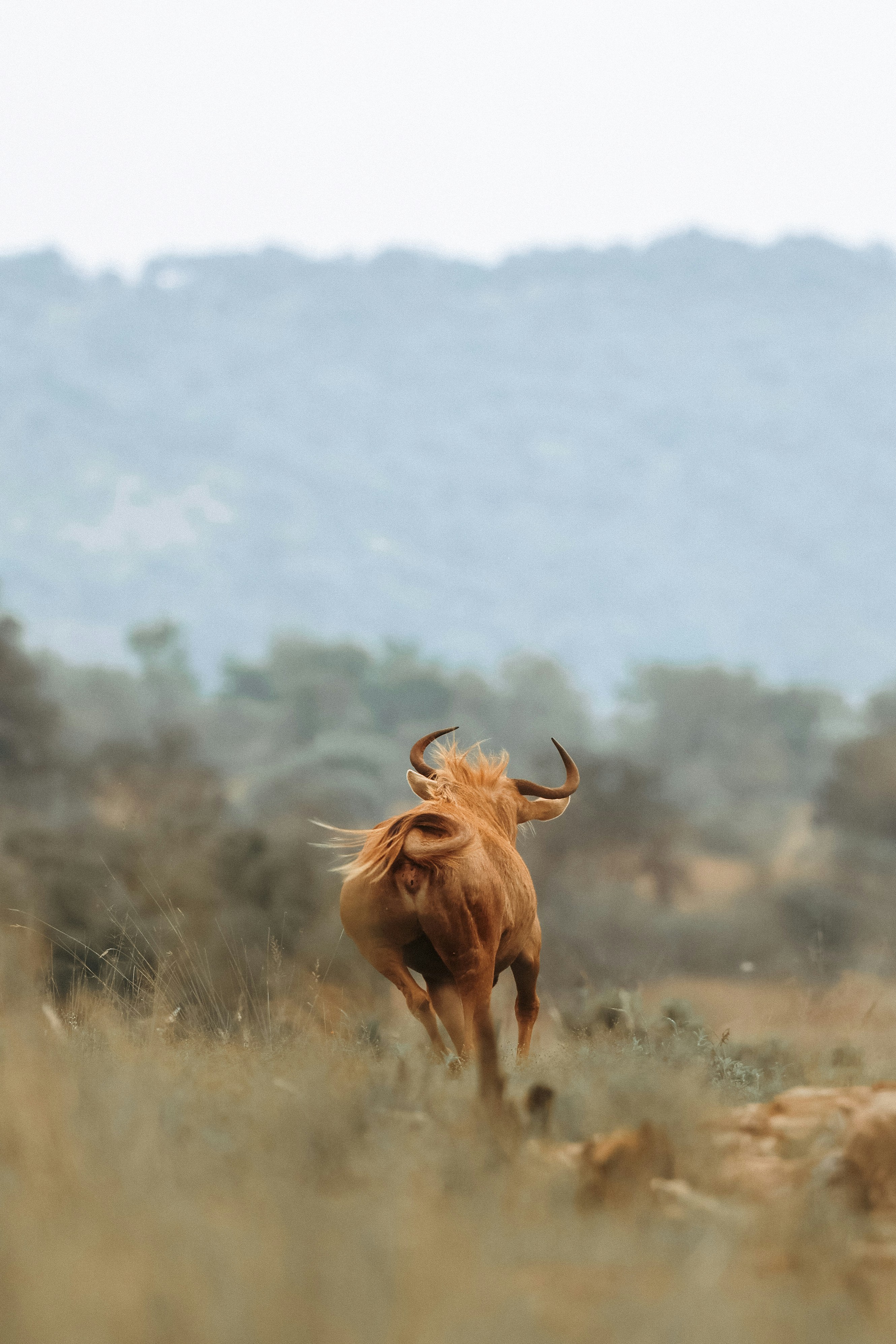 Photo by amandaswanepoel