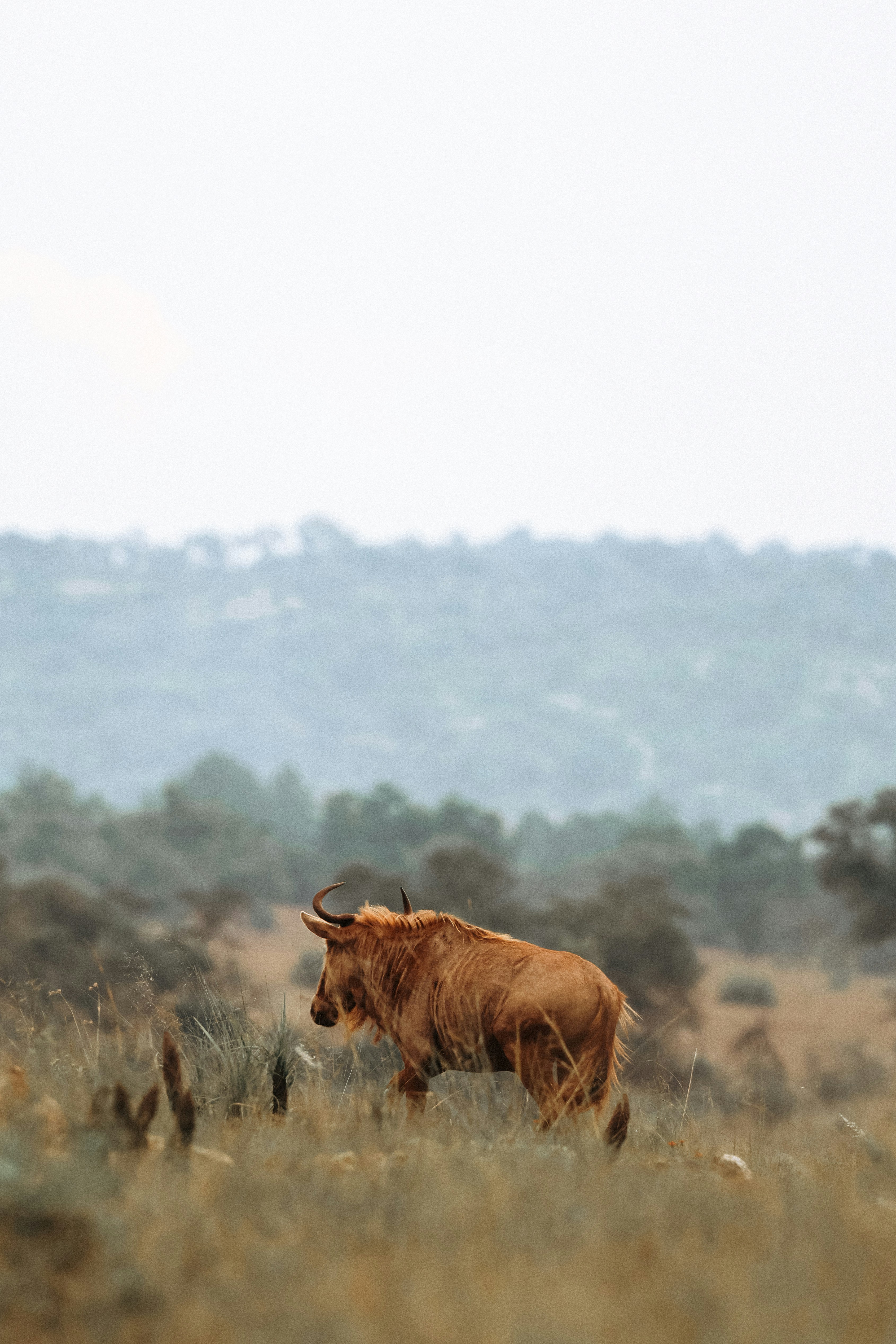 Photo by amandaswanepoel