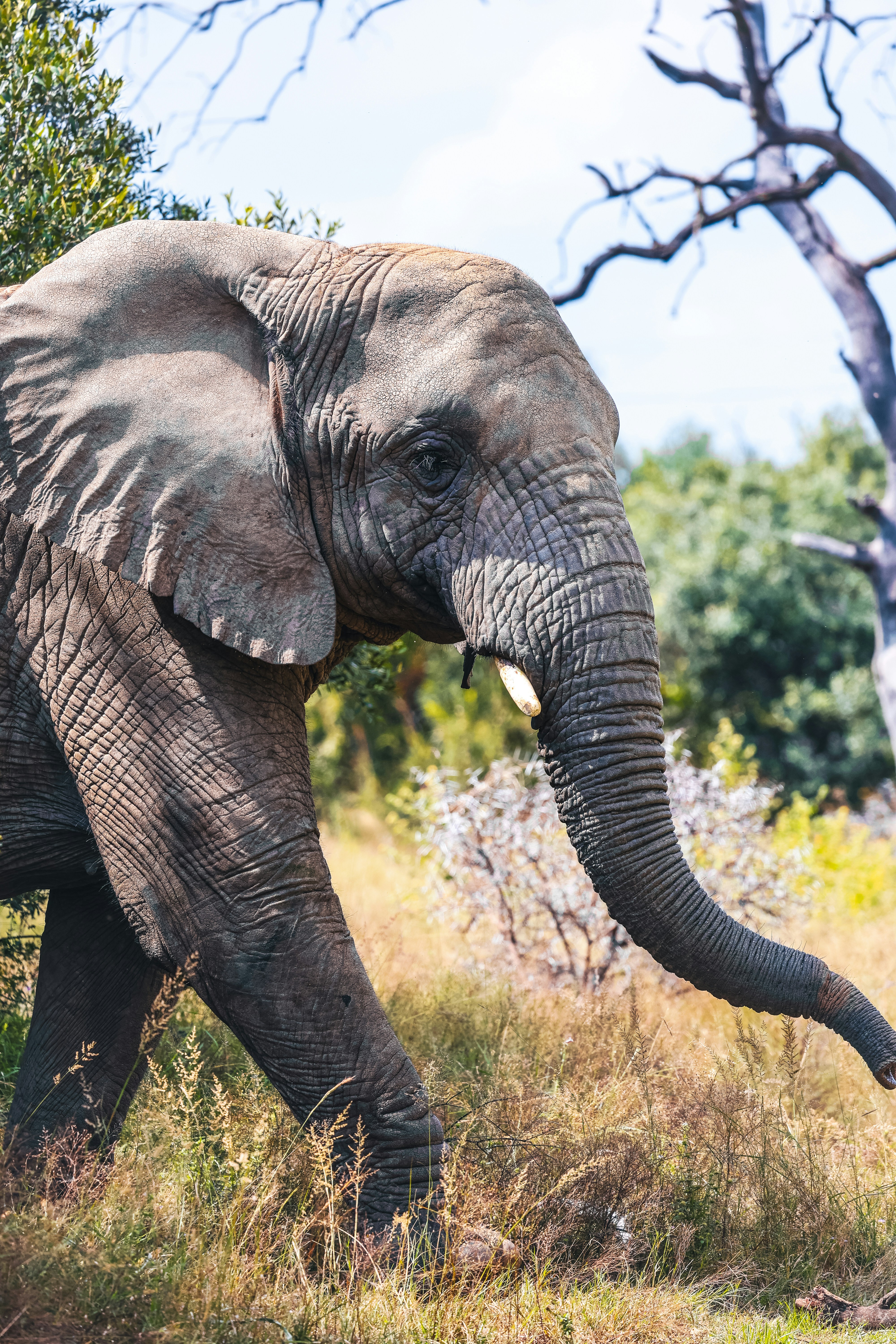 Photo by amandaswanepoel