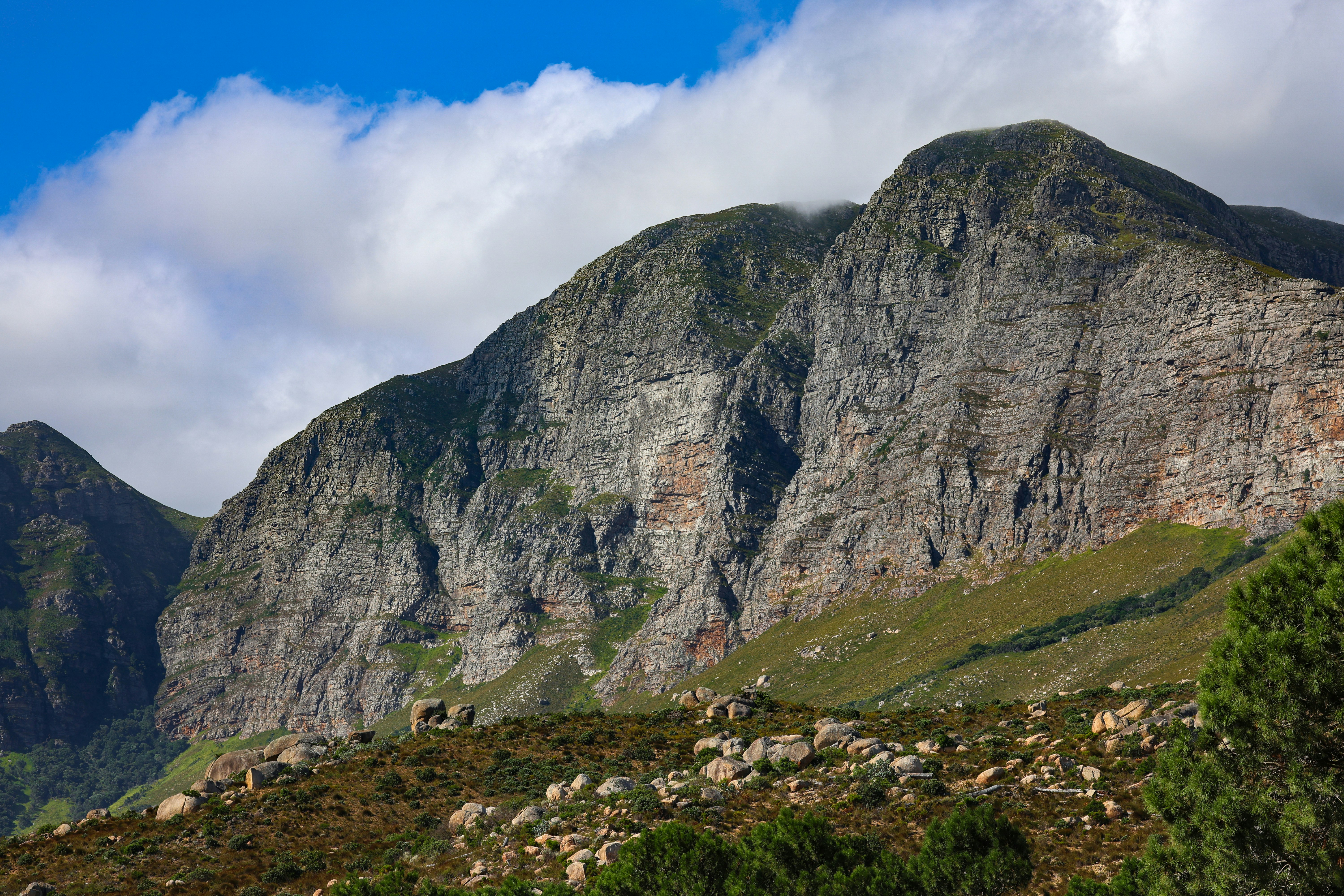 Photo by amandaswanepoel