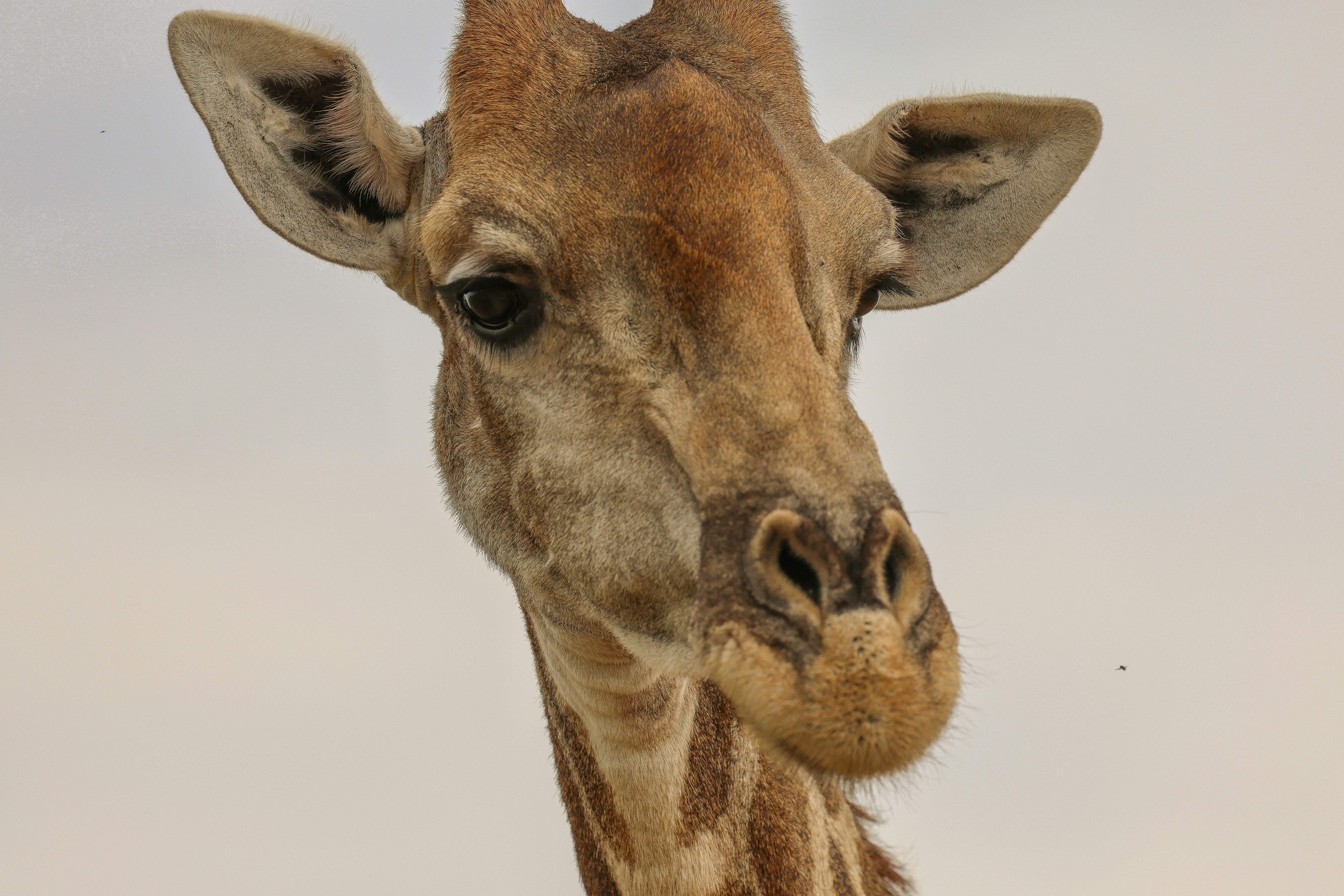 Photo by amandaswanepoel