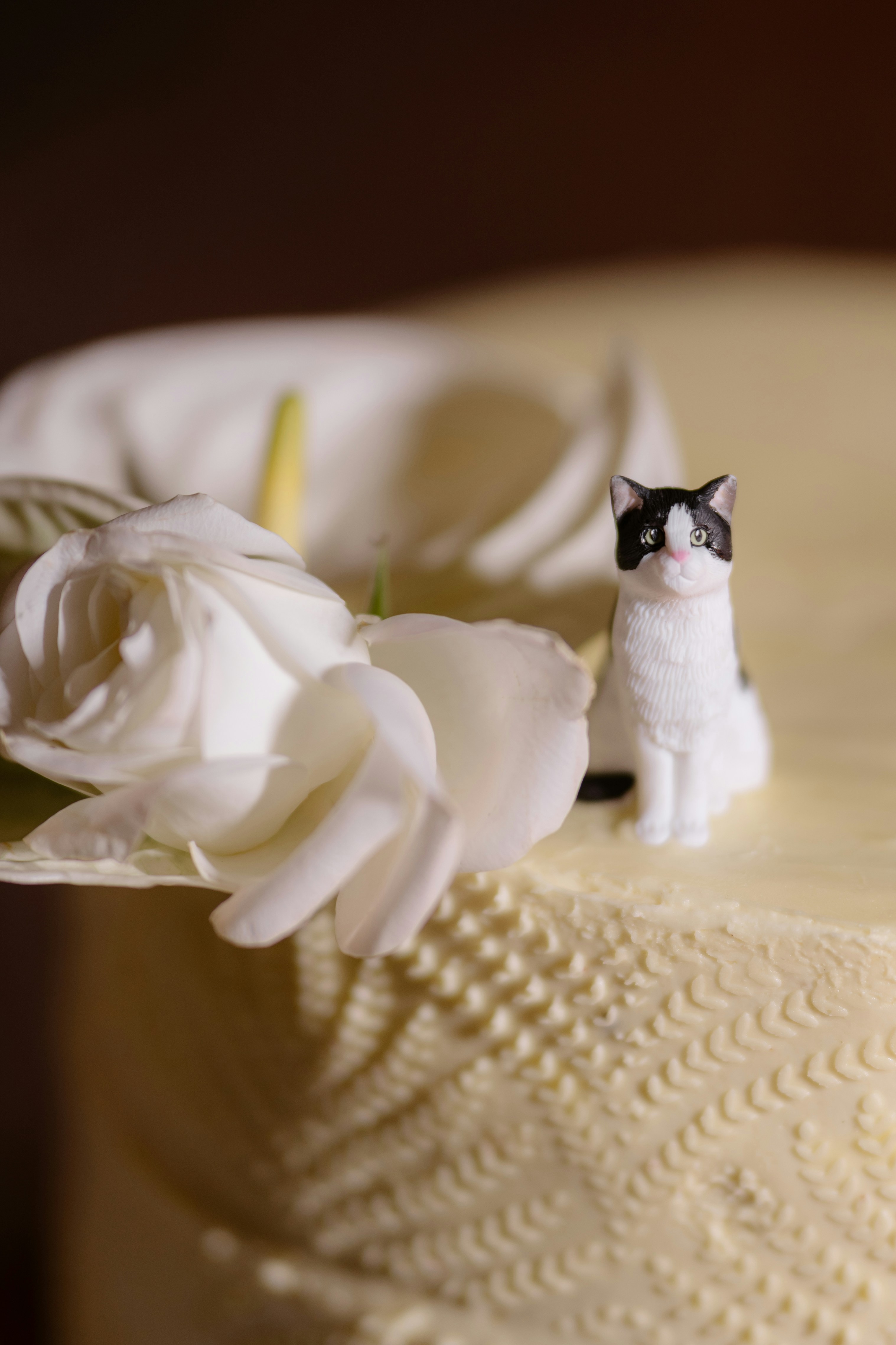 A white flower and a cat figurine.