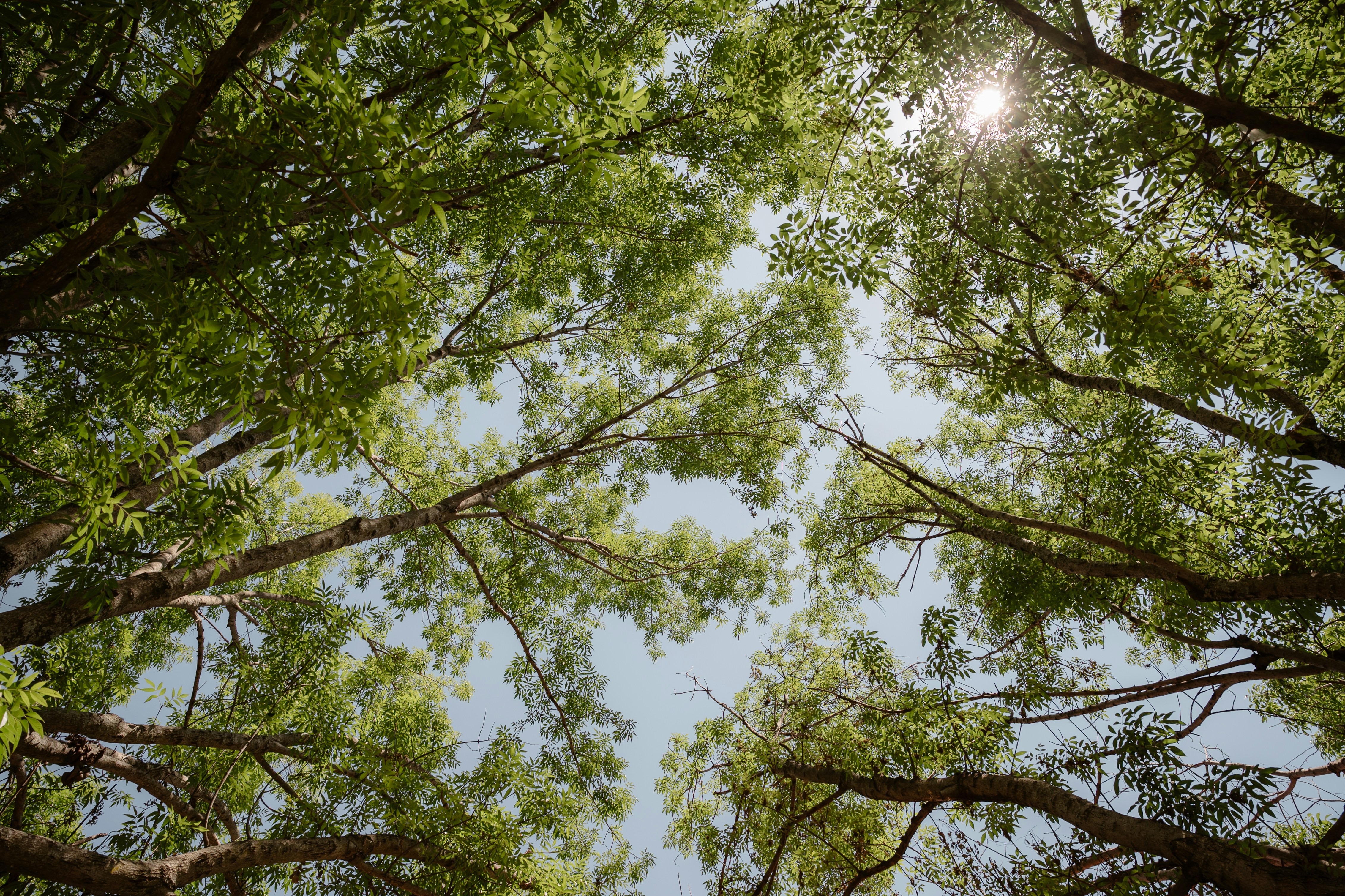 Photo by fotolancaster