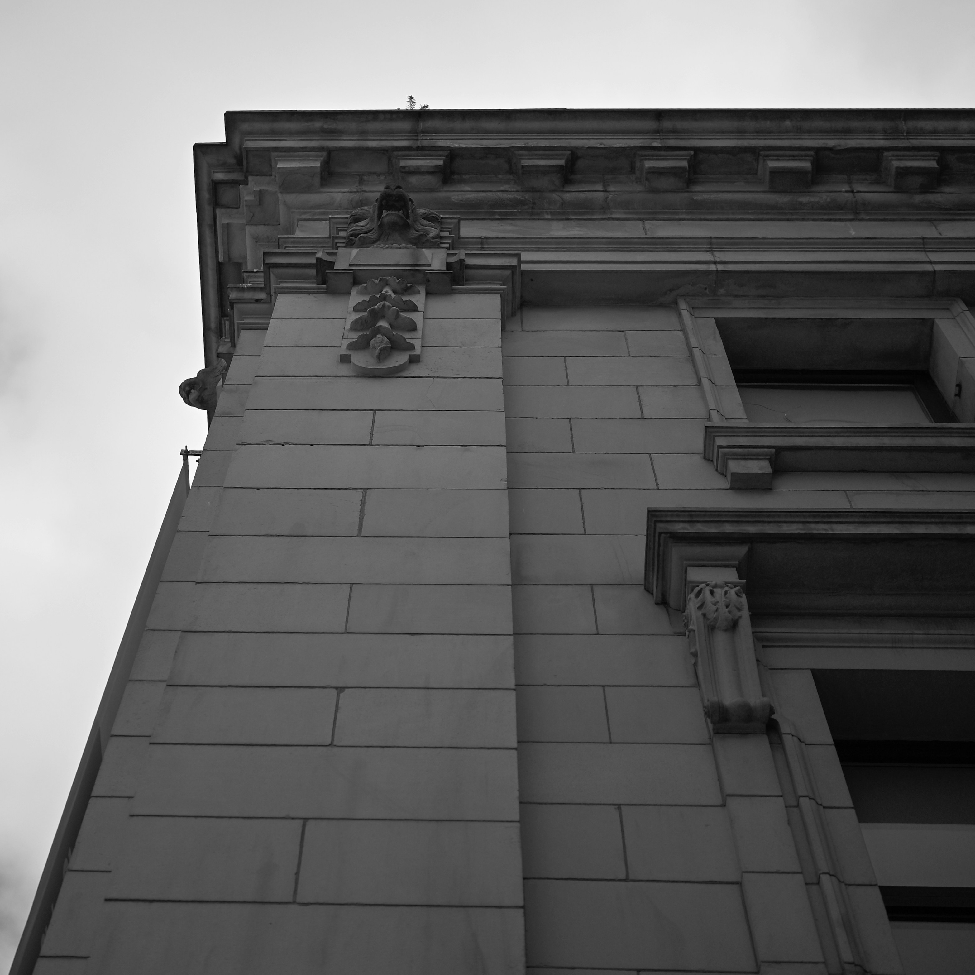 Photo by jonathankslim