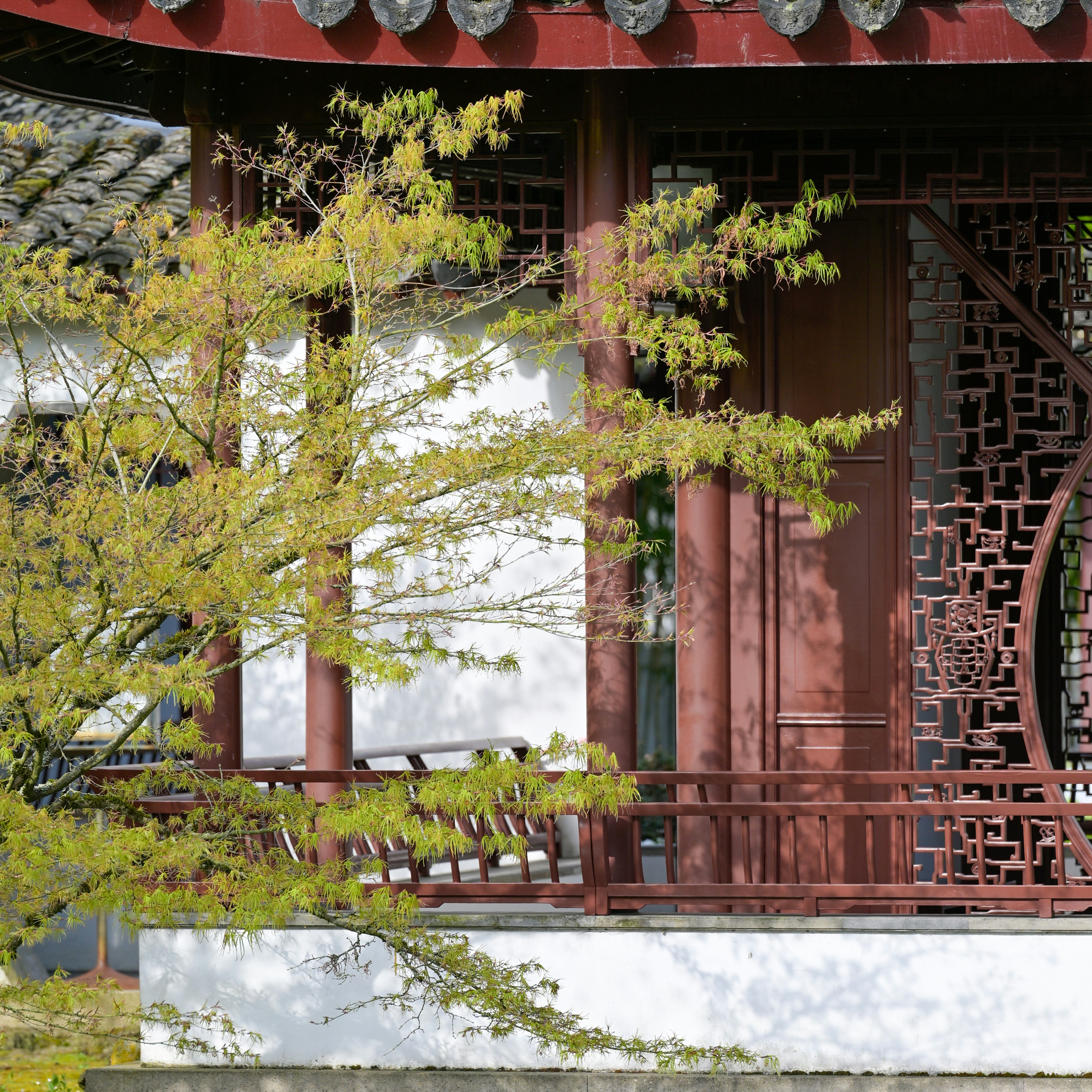 Photo by jonathankslim