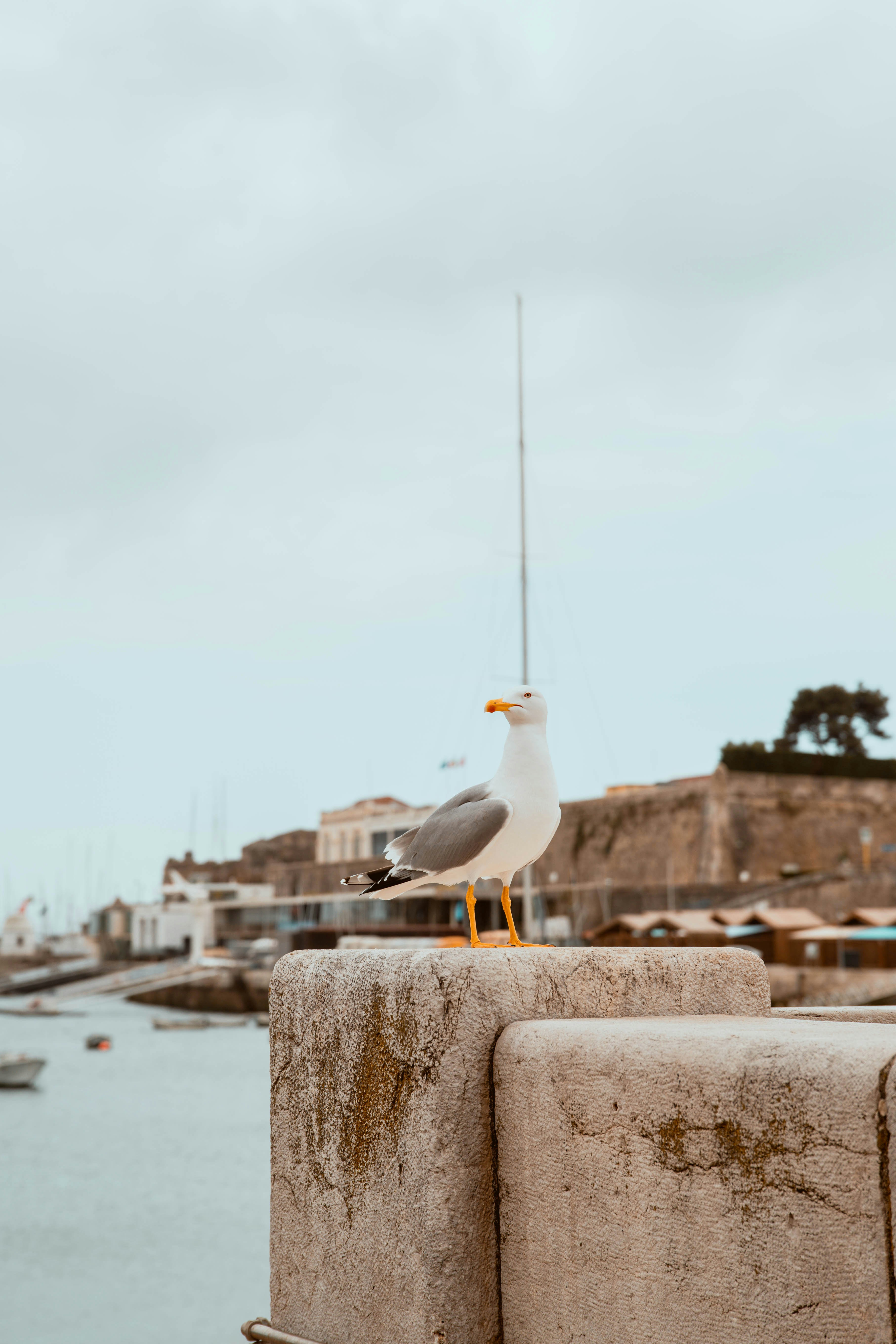 Photo by jonathanlume