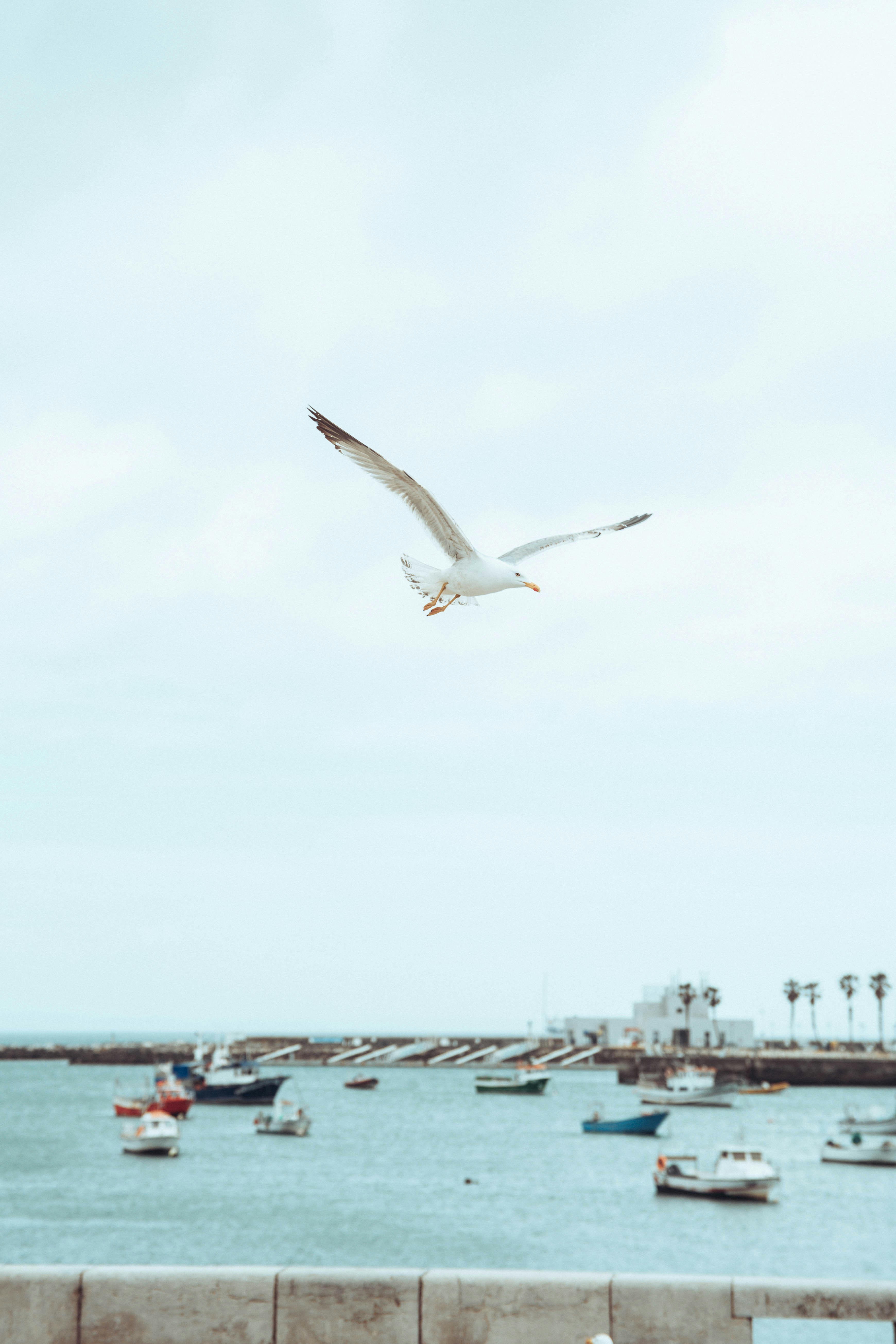Photo by jonathanlume