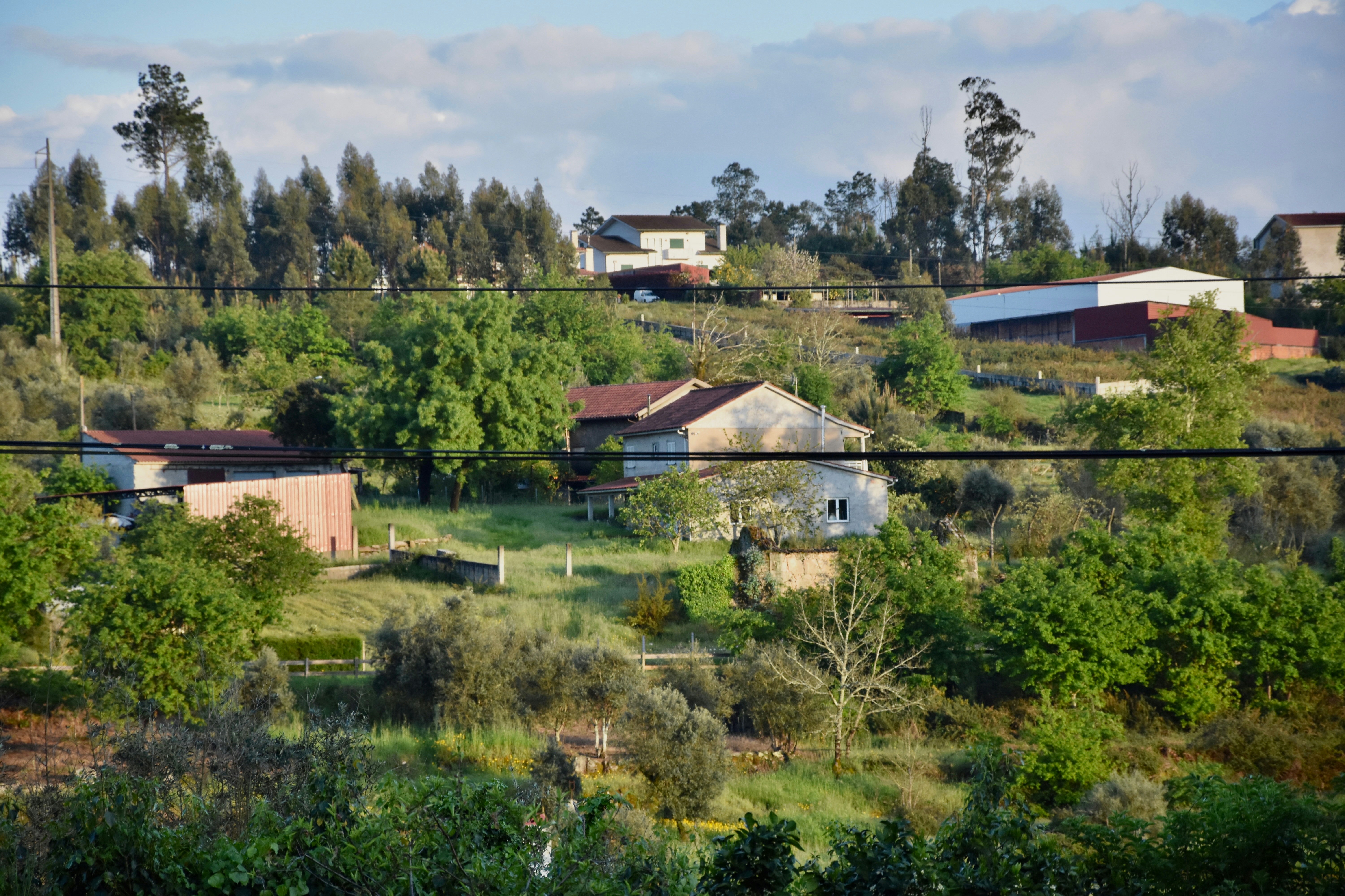 The Farm at San Benito
