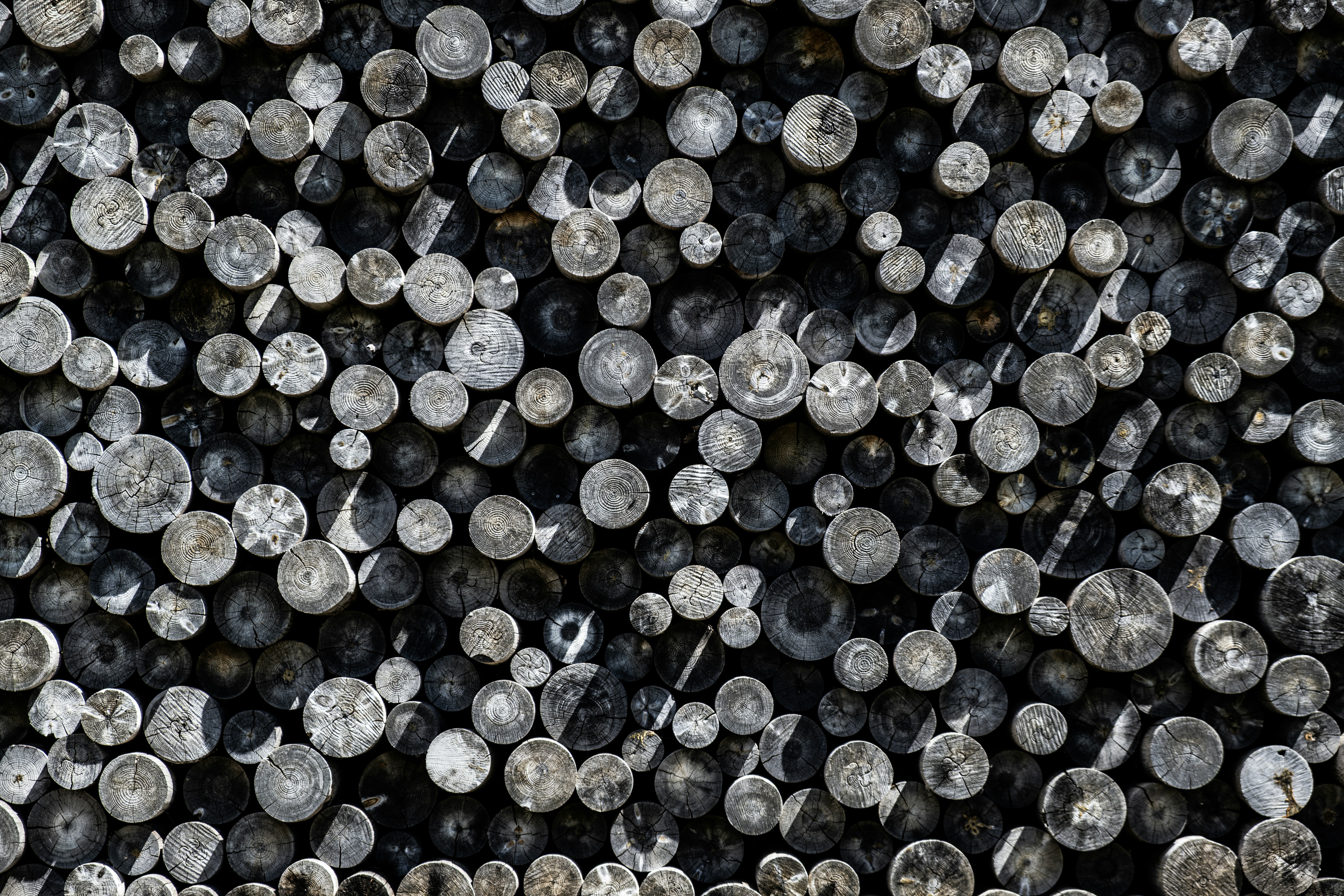 Photo by salvatoretonnara