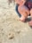 A child spots crabs on the sandy beach.