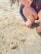 A child spots crabs on the sandy beach.
