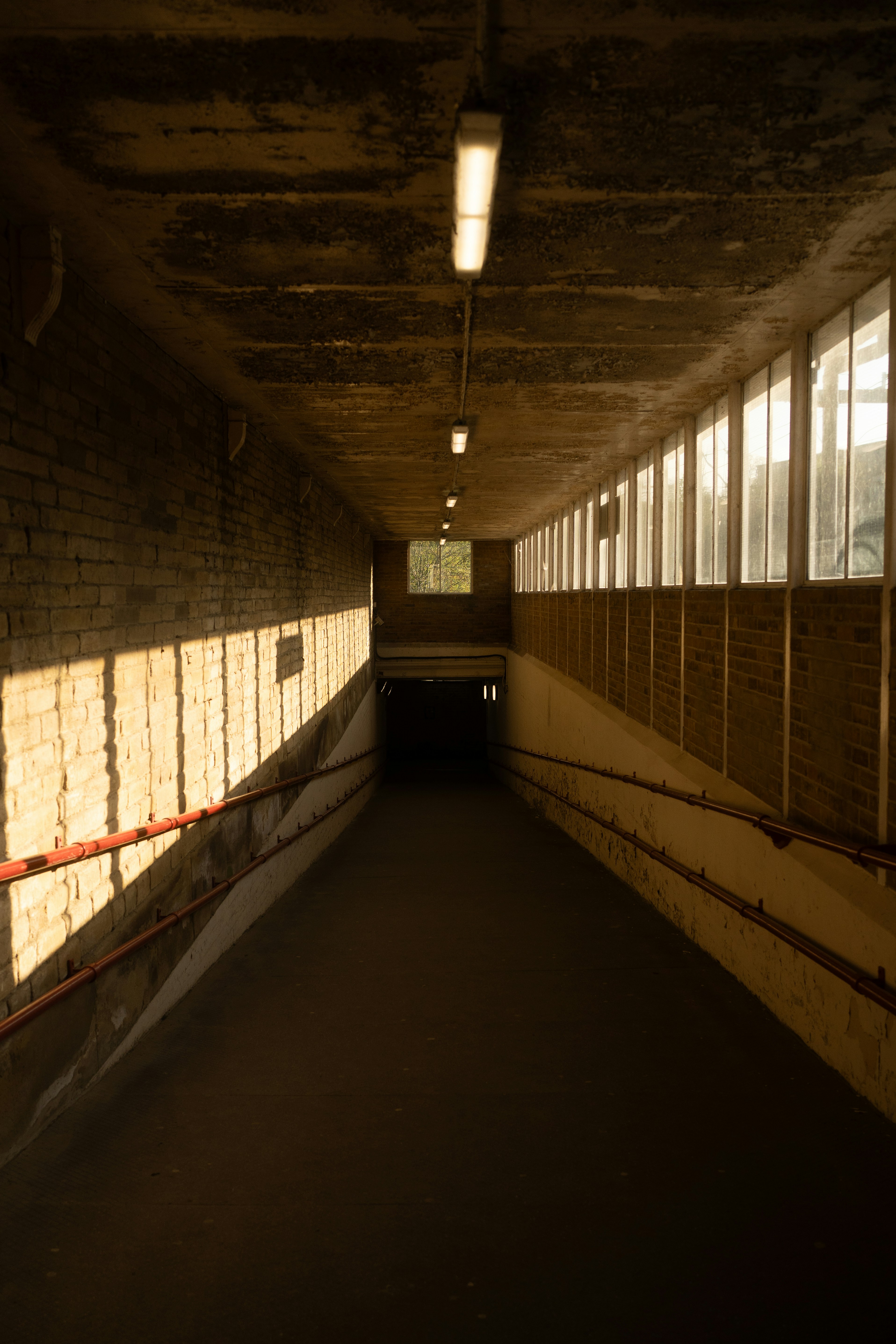 Photo by thesobanahmed