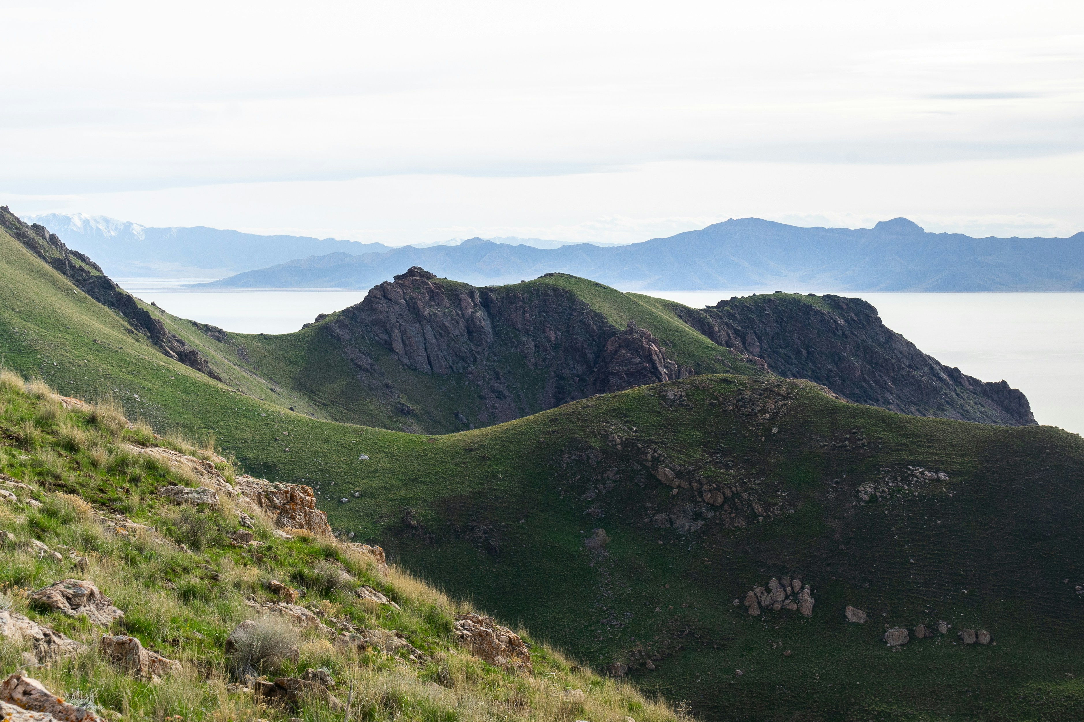 Photo by pics_by_harry