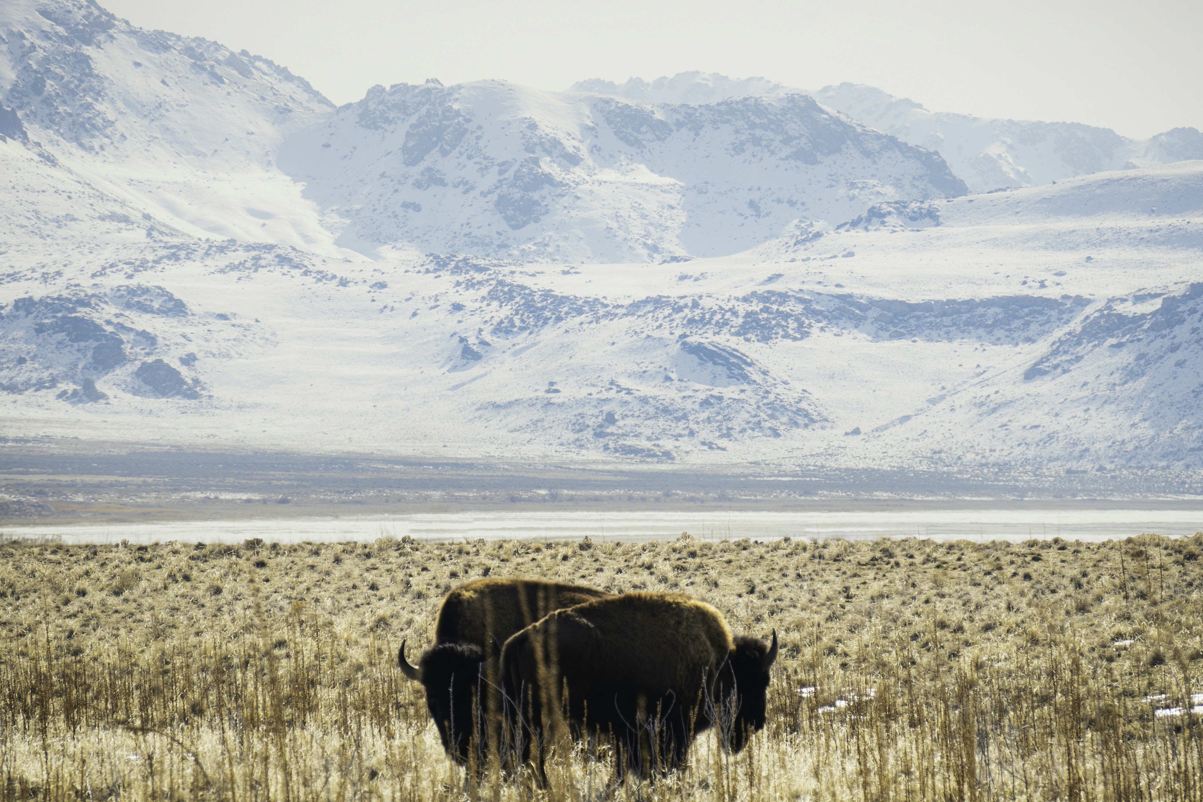 Photo by pics_by_harry