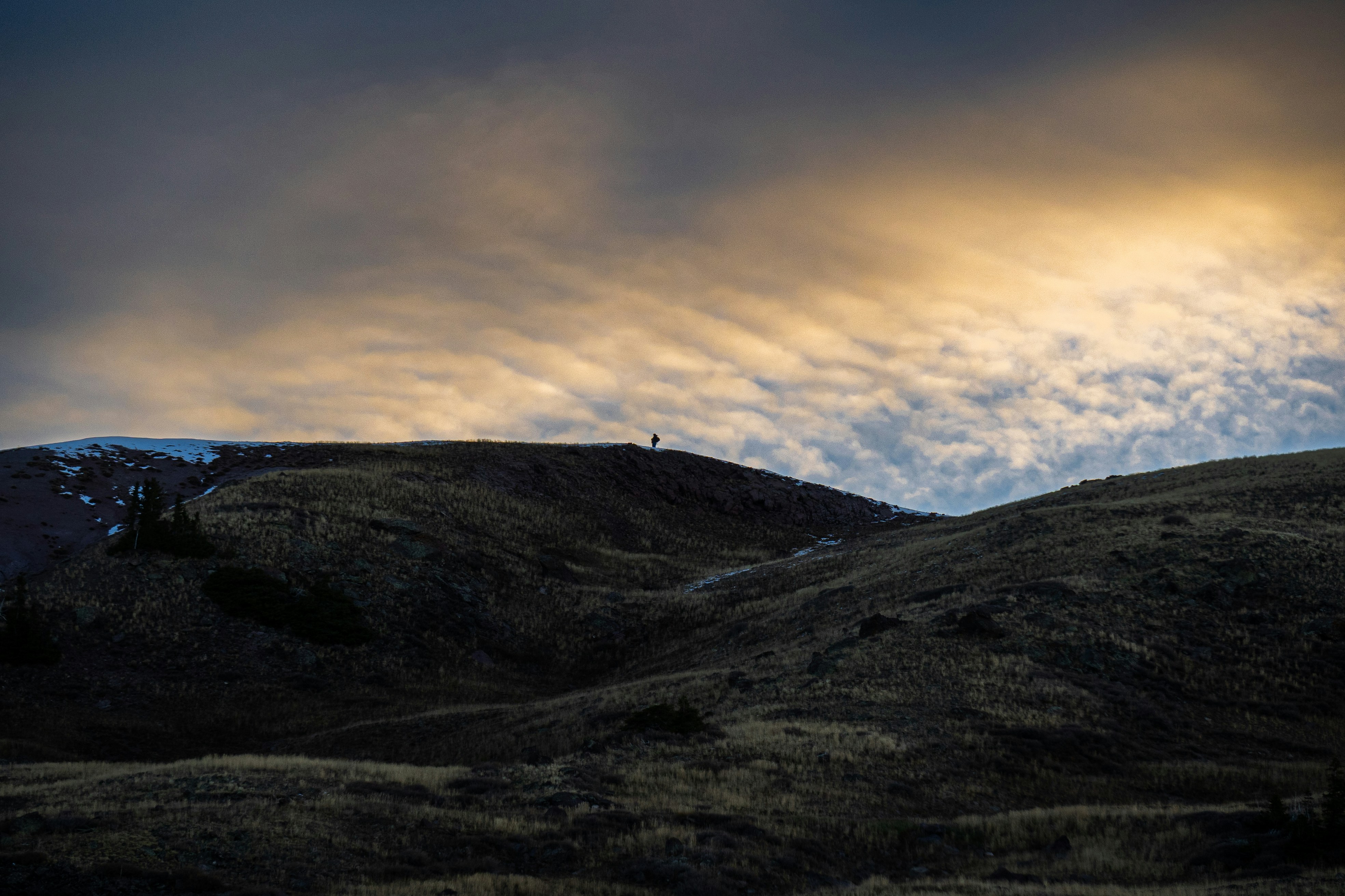 Photo by pics_by_harry