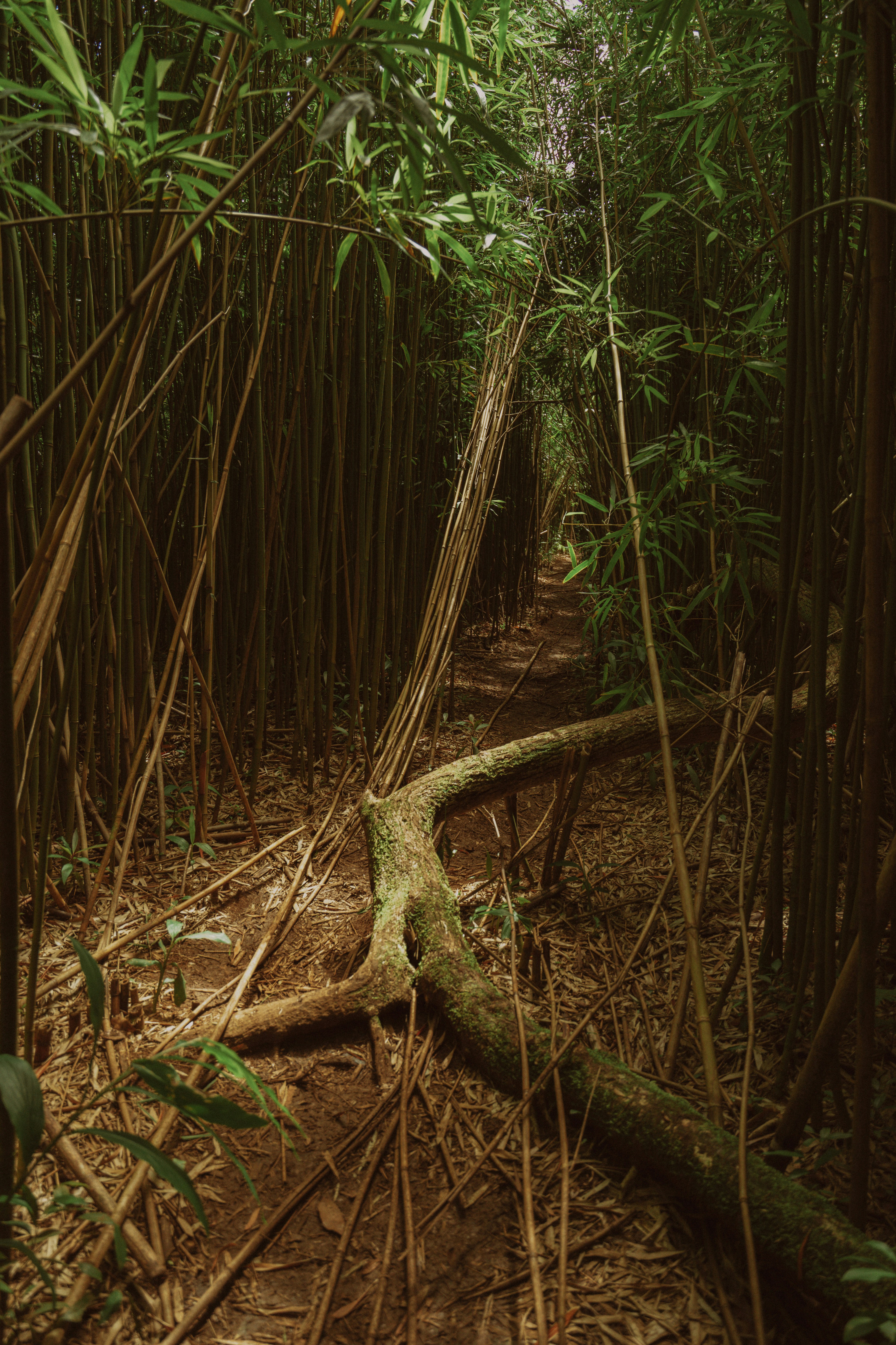 Photo by pics_by_harry