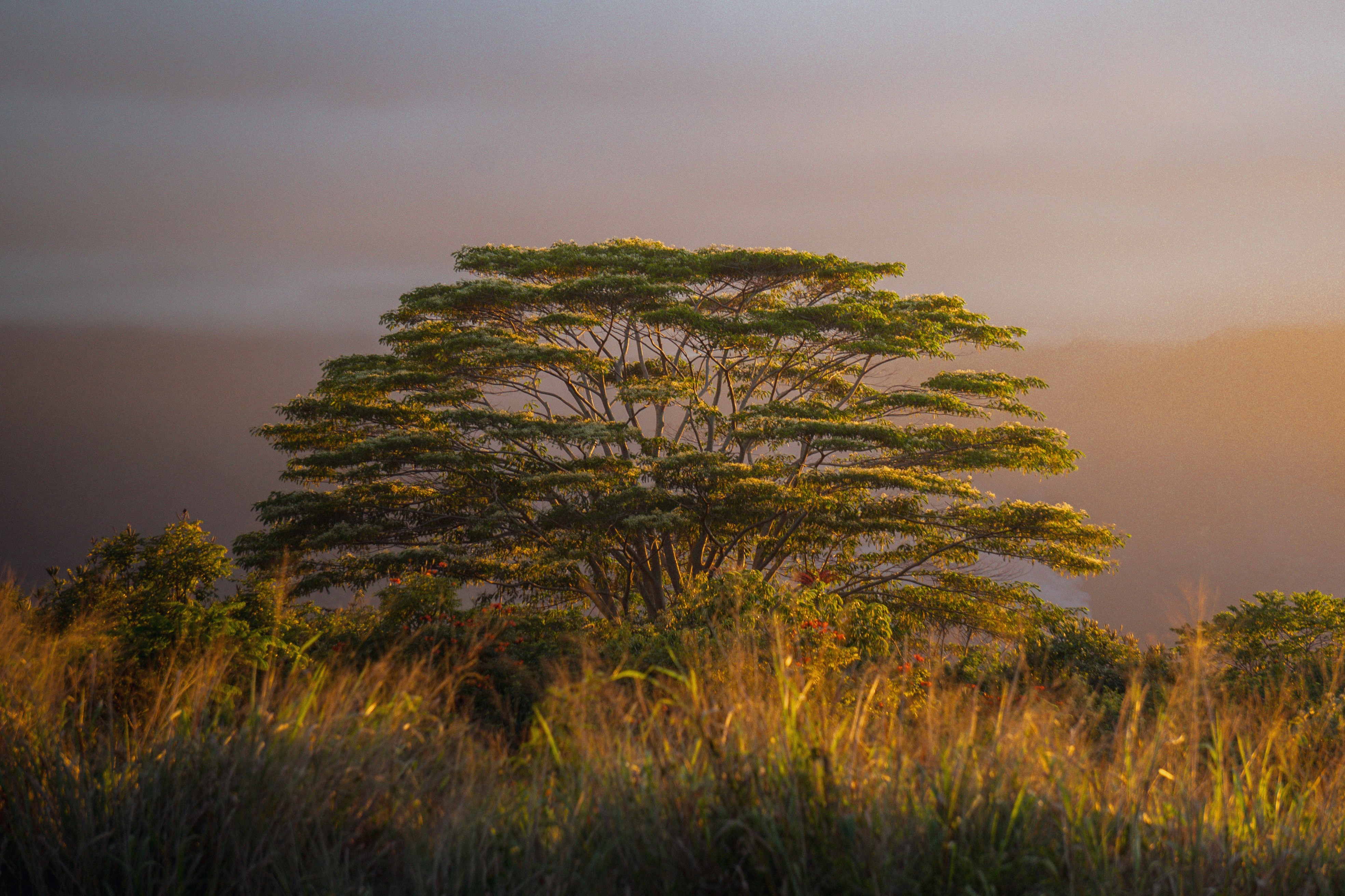 Photo by pics_by_harry