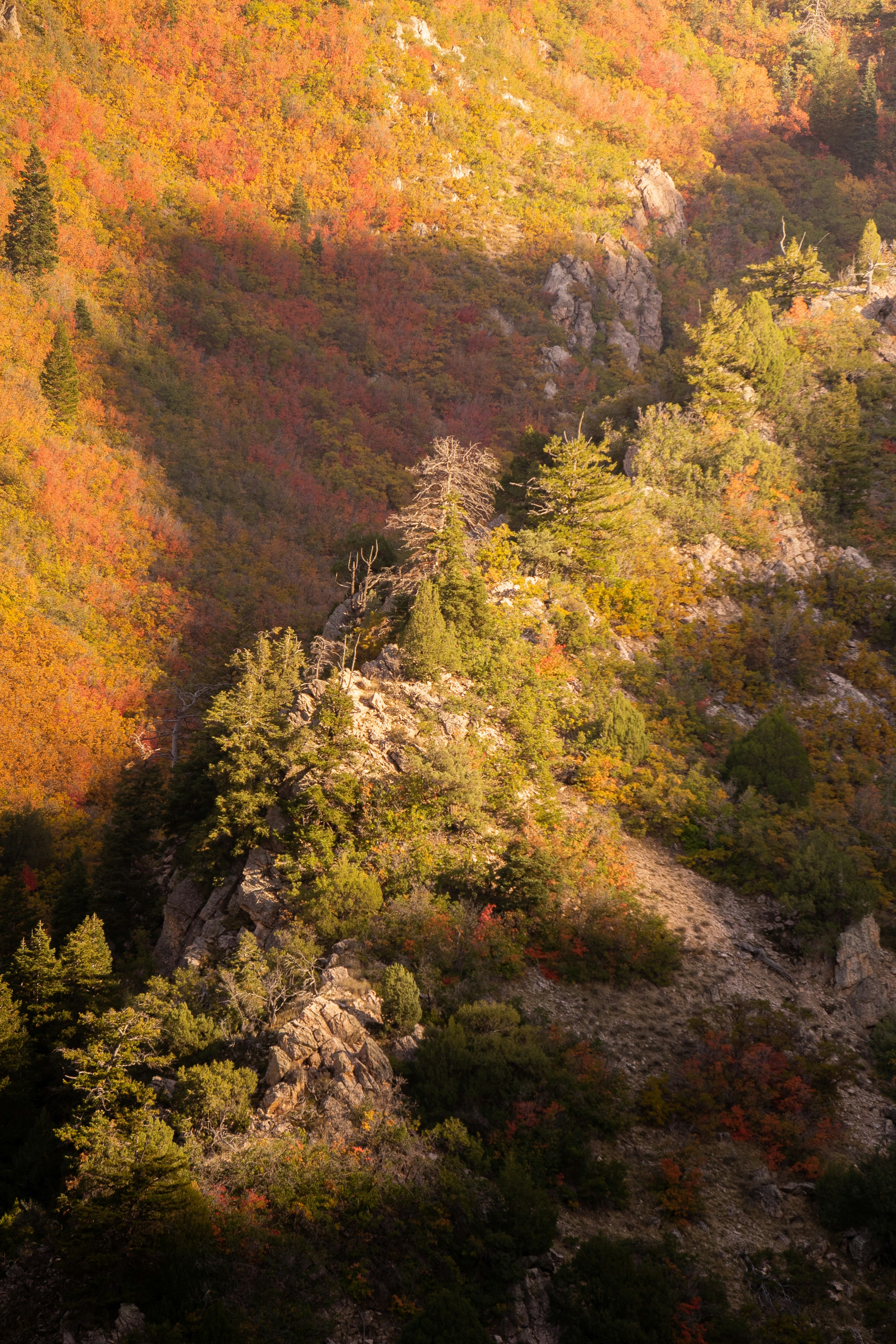 Photo by pics_by_harry