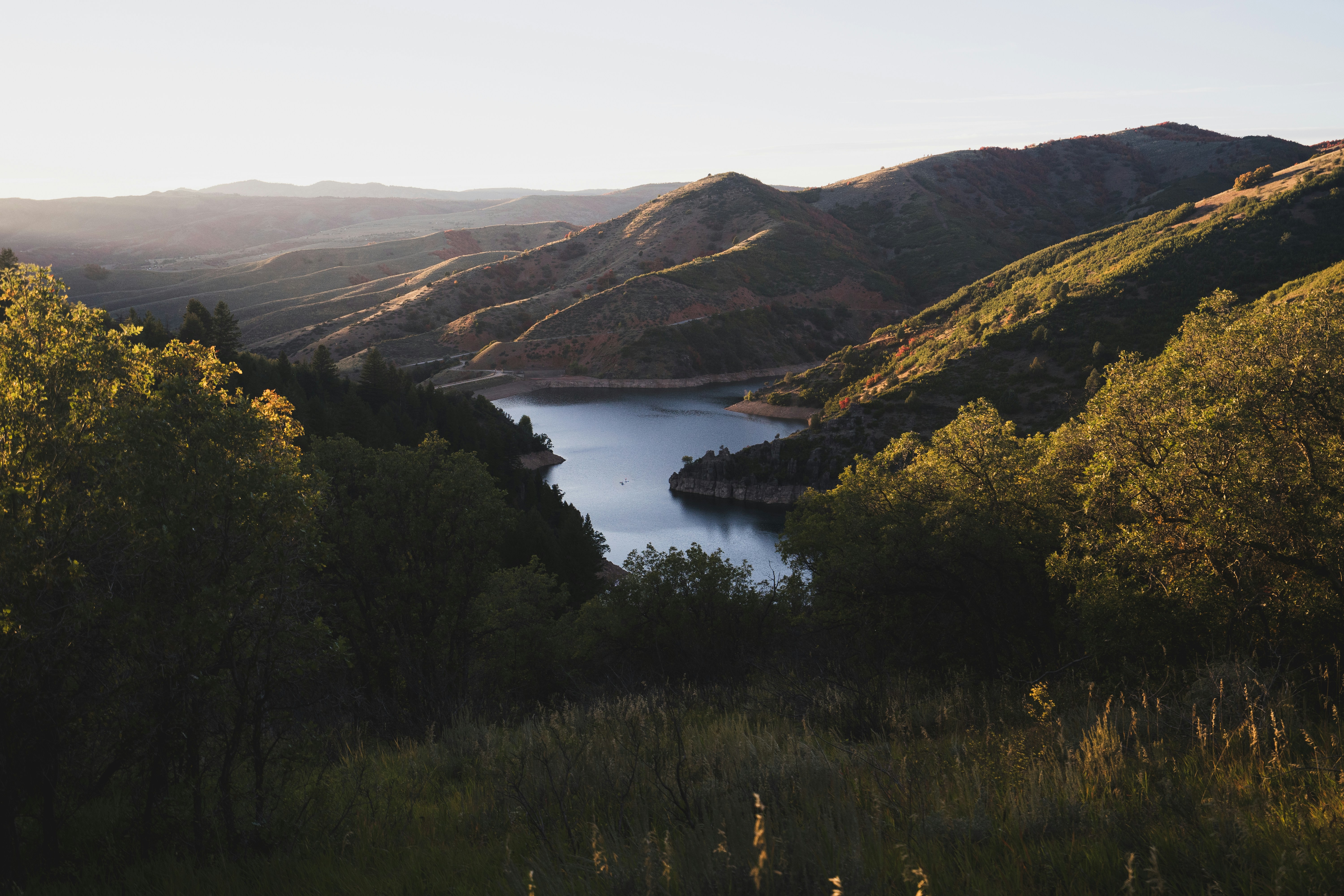 Photo by pics_by_harry