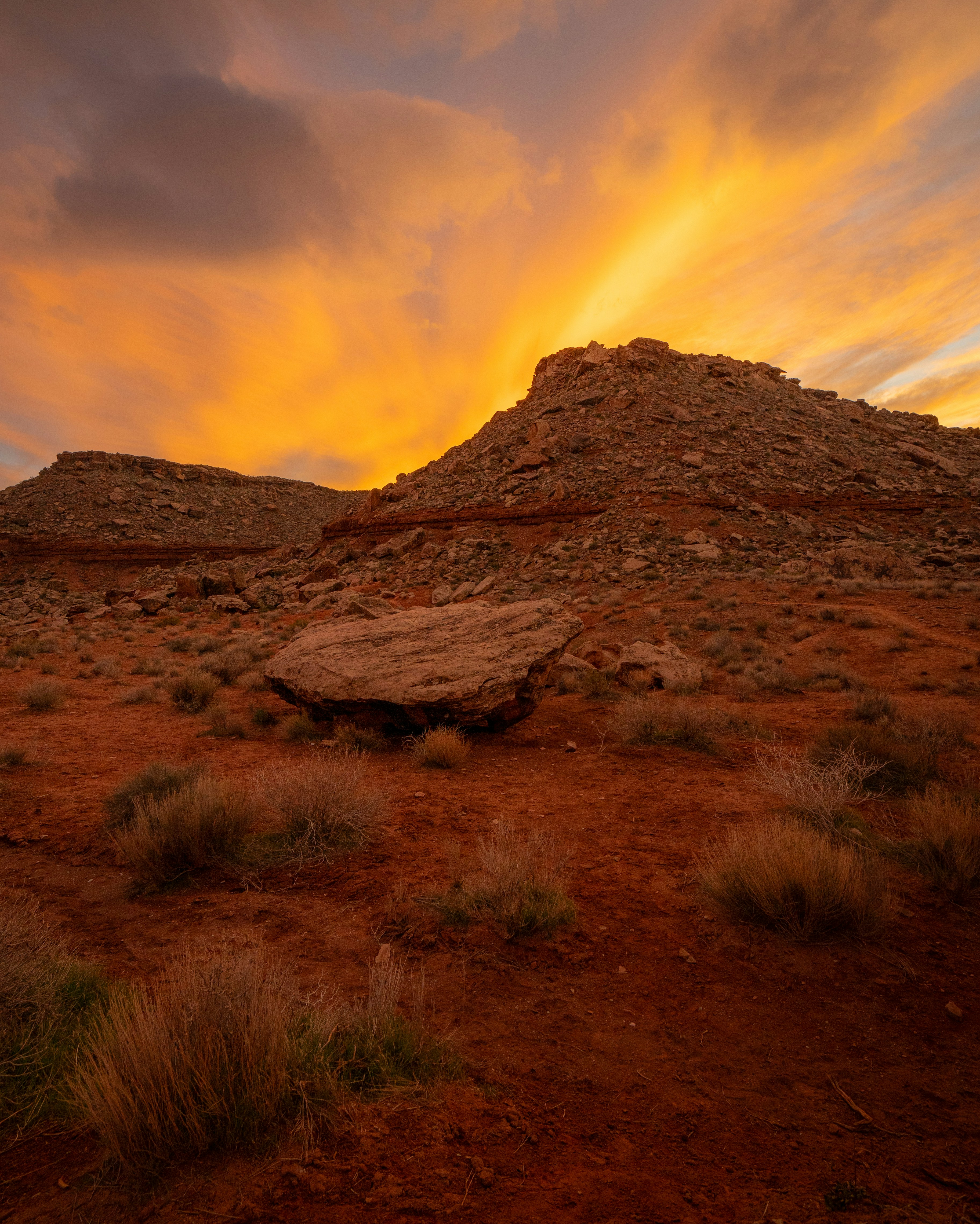 Photo by pics_by_harry