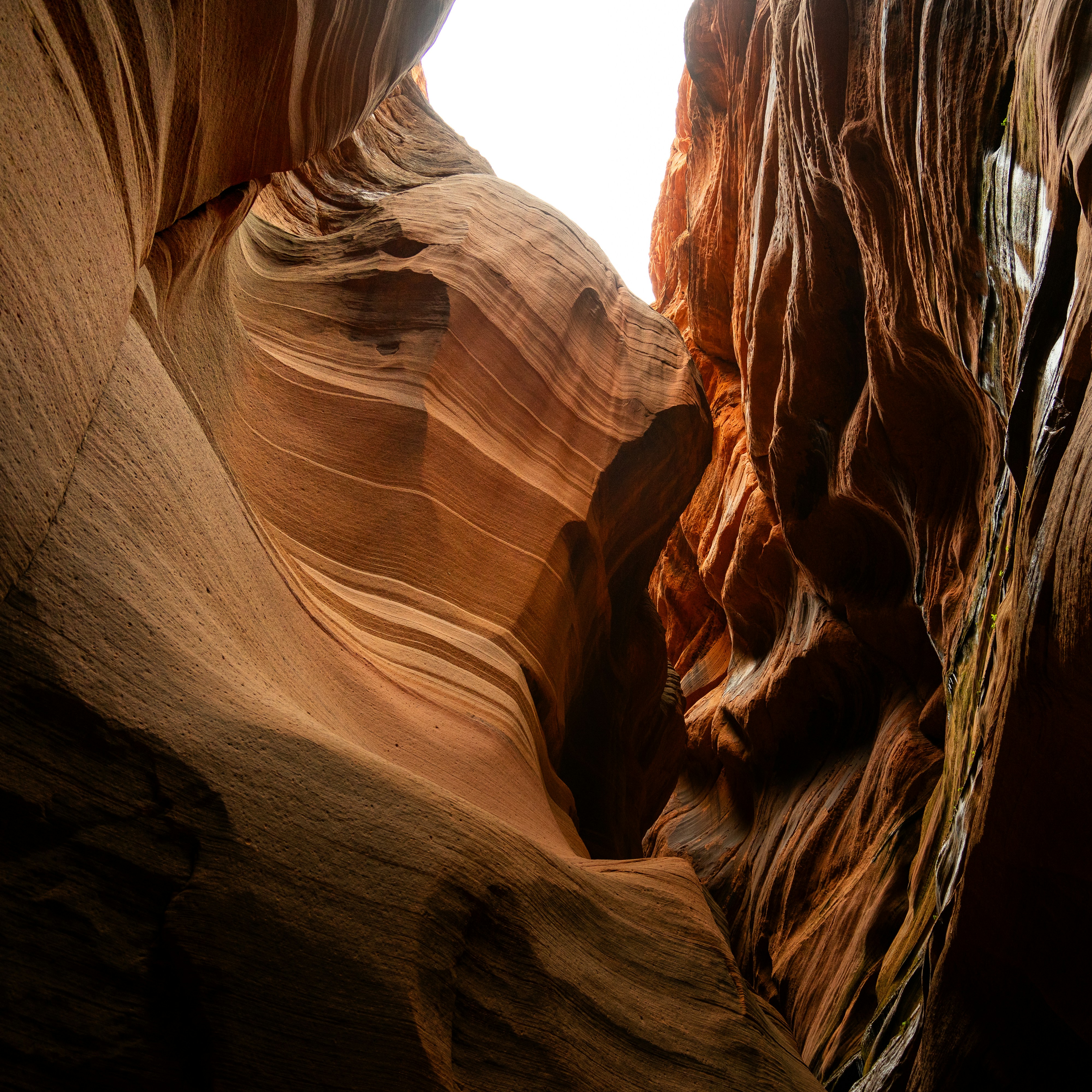 Photo by pics_by_harry