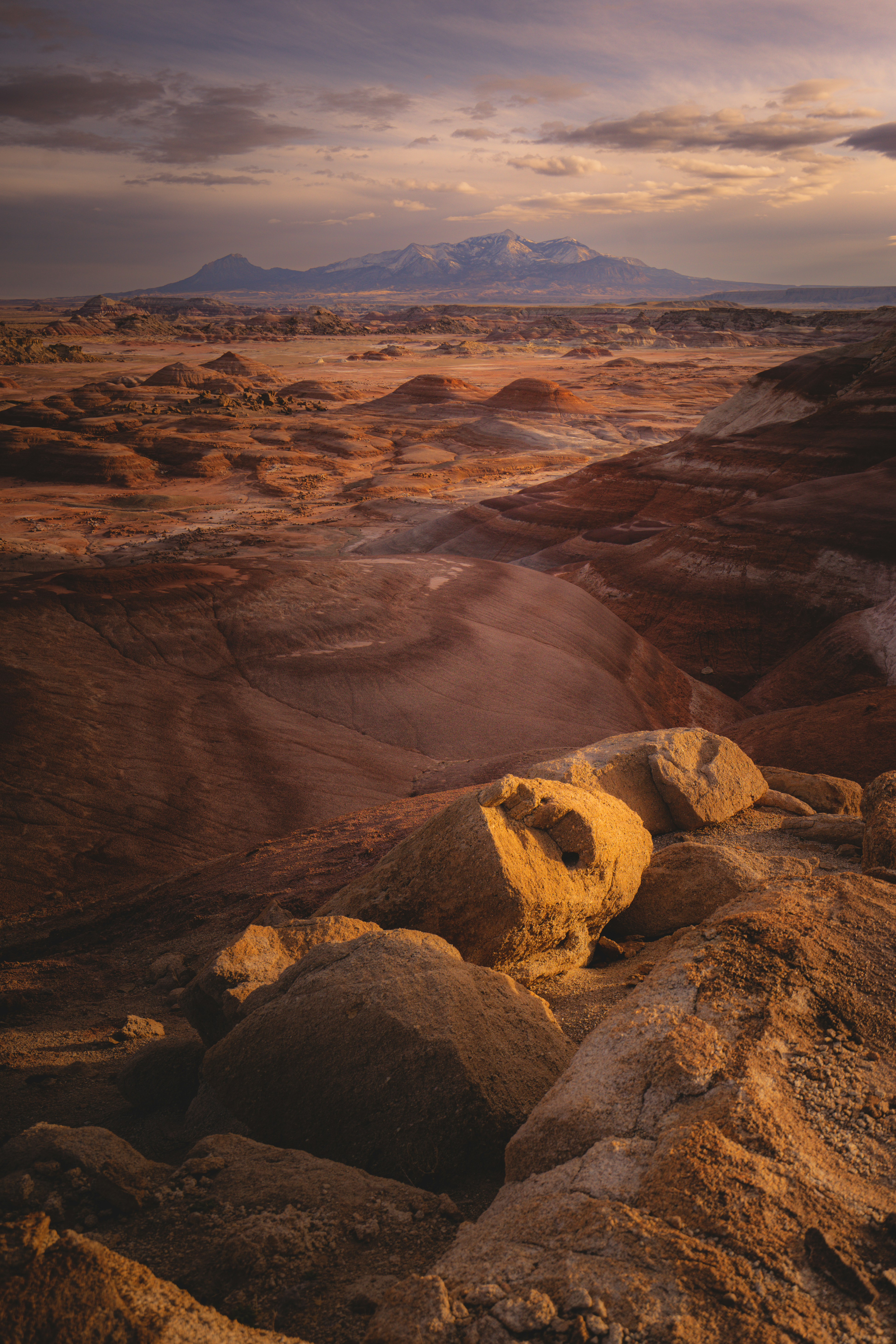 Photo by pics_by_harry