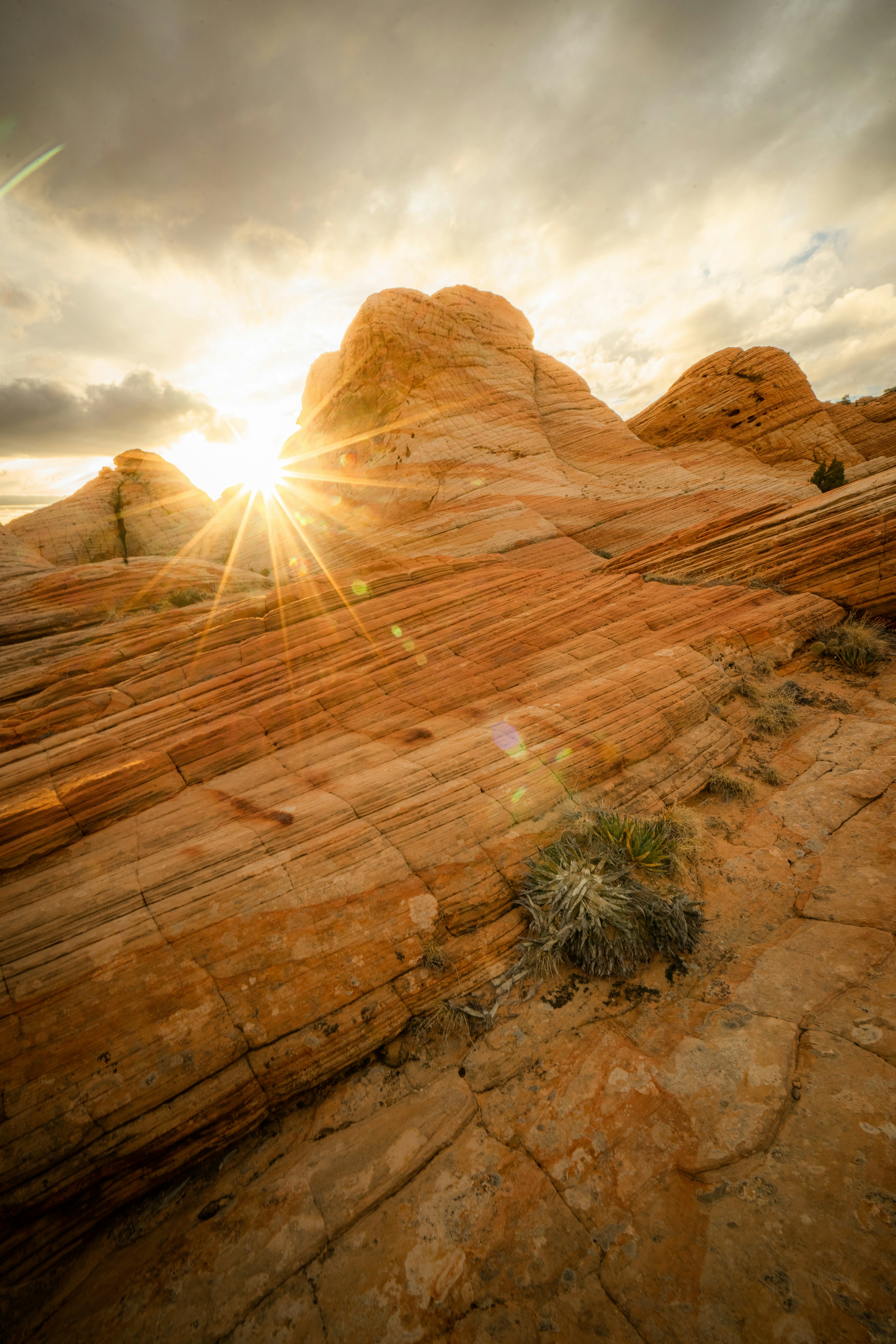 Photo by pics_by_harry