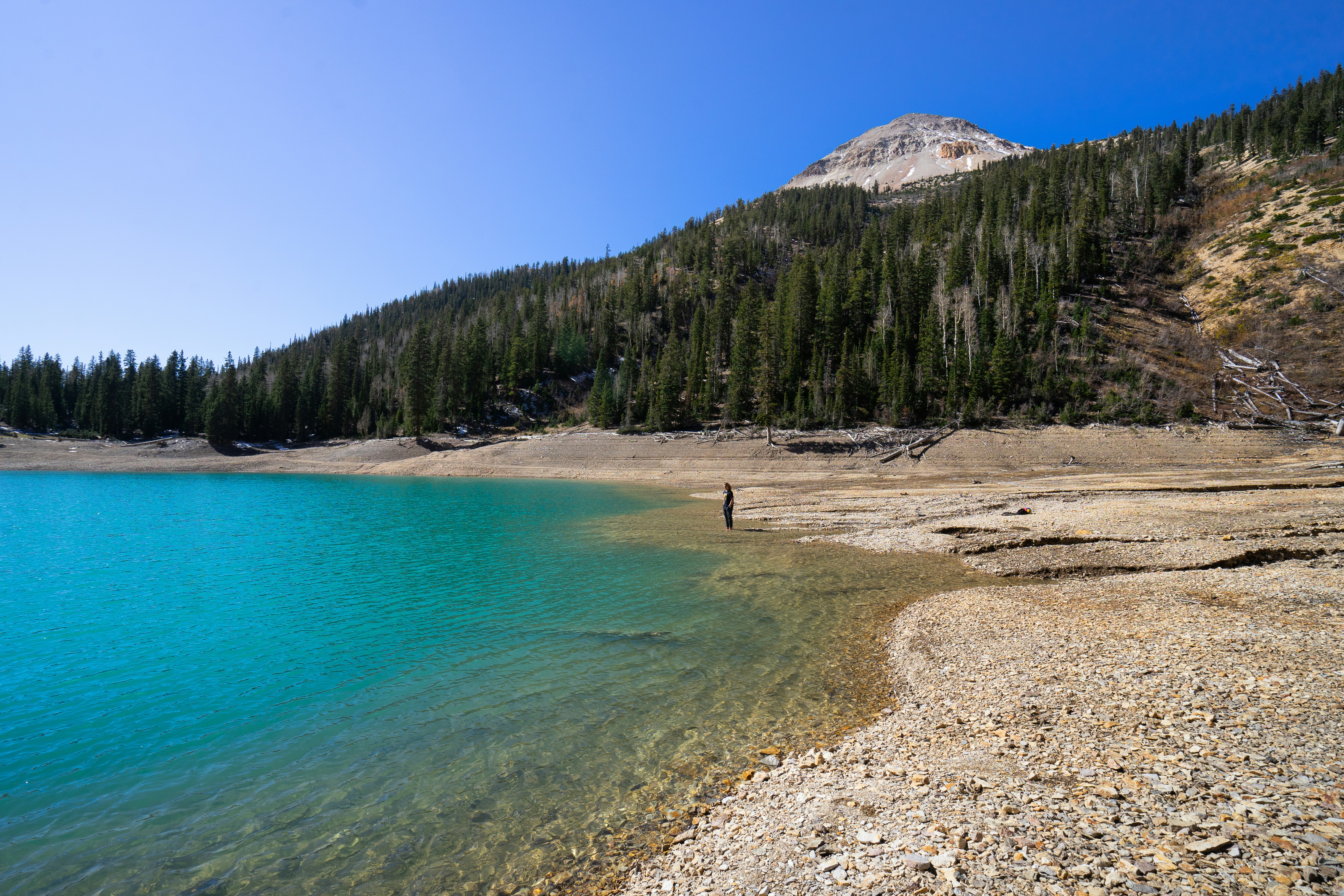 Photo by pics_by_harry